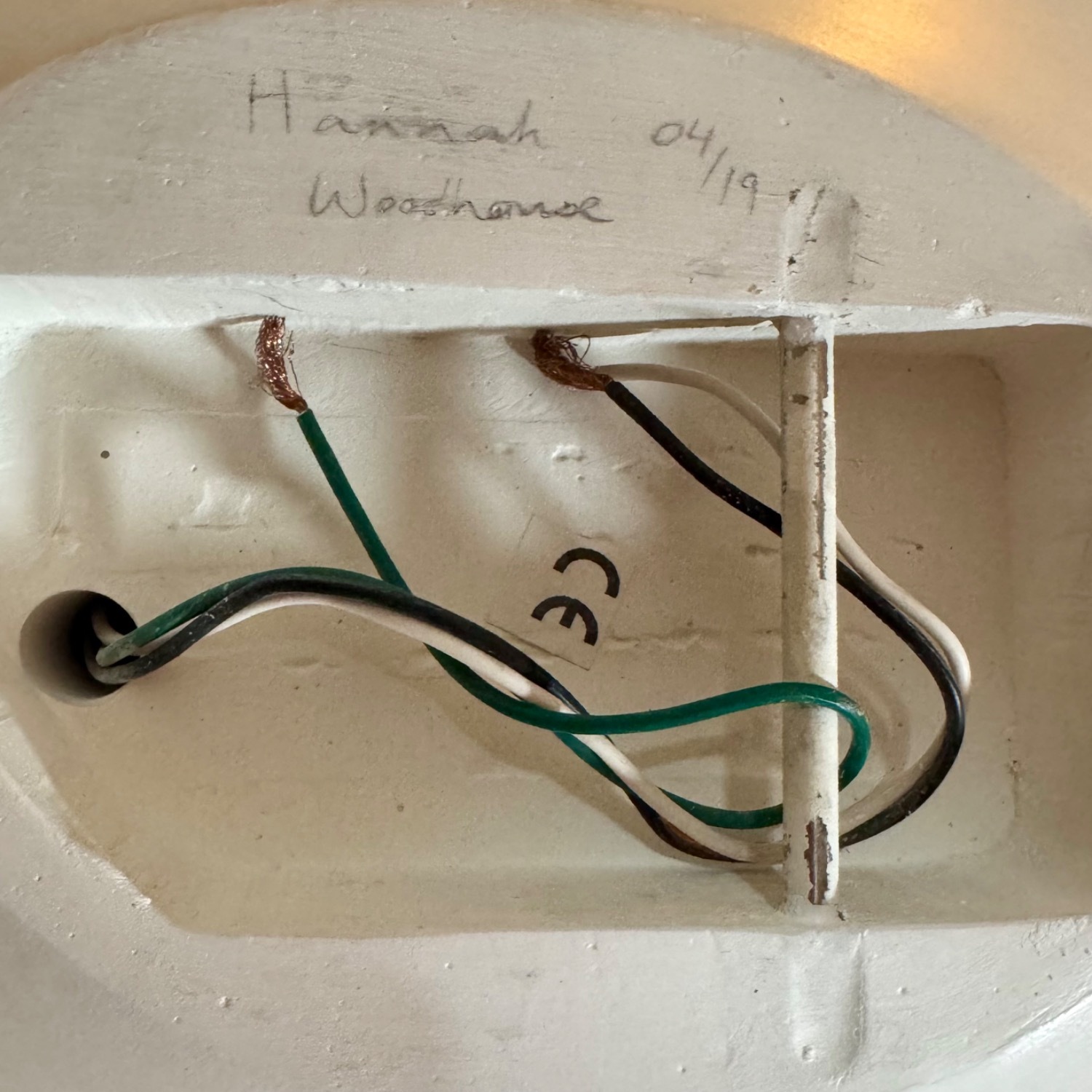 Hannah Woodhouse Tulip Wall-Mounted Sculpture - image-7