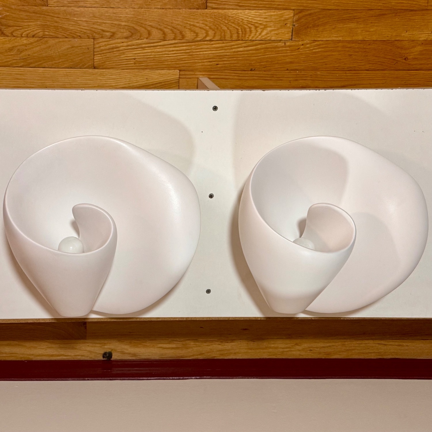 Hannah Woodhouse Tulip Wall-Mounted Sculpture - image-1