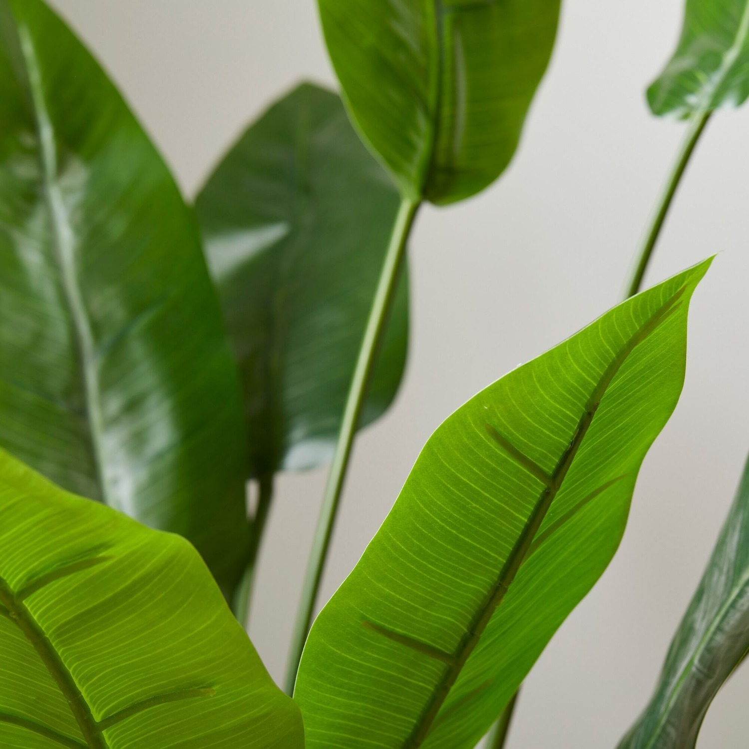 West Elm Faux Potted Bird of Paradise Plant - image-2
