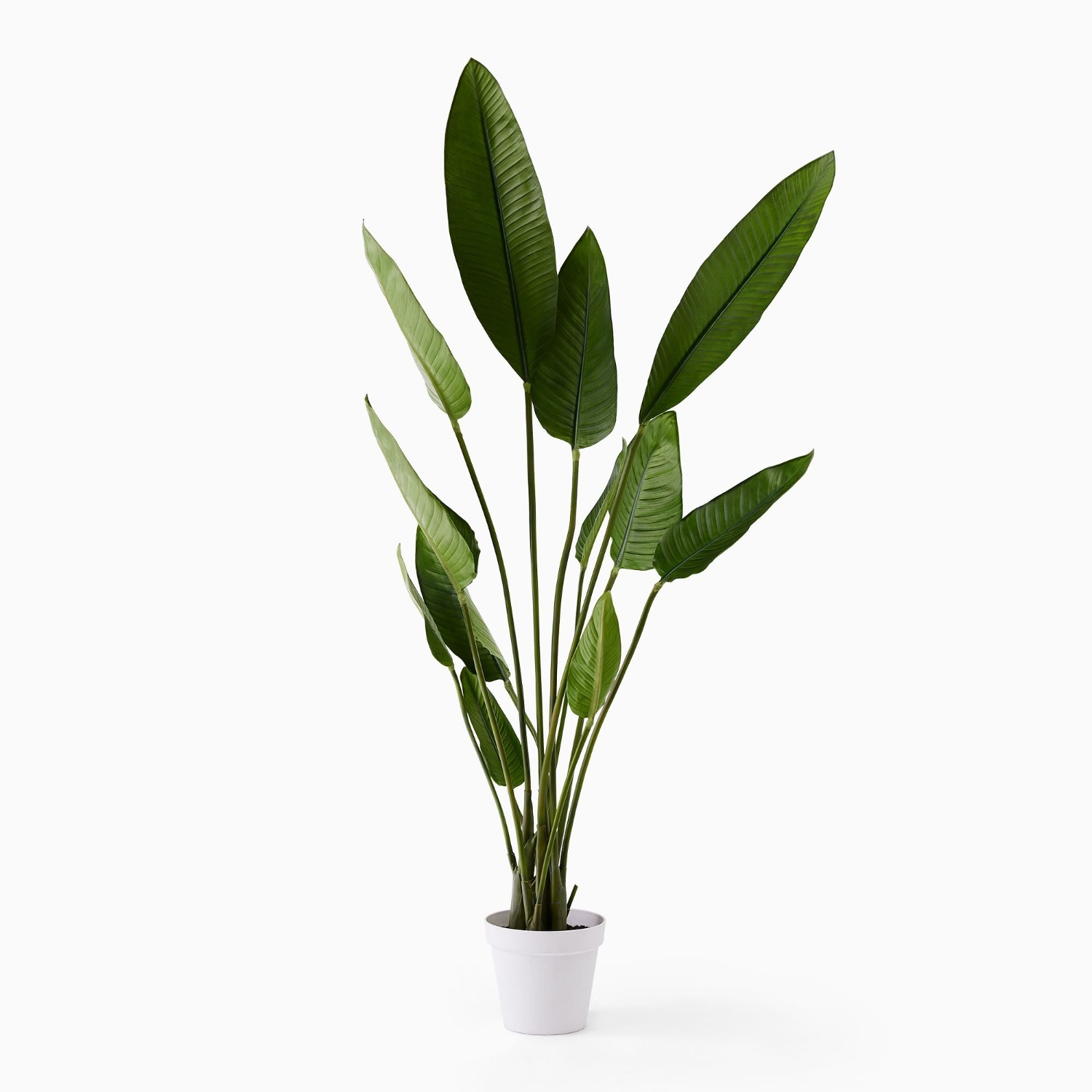 West Elm Faux Potted Bird of Paradise Plant - image-3