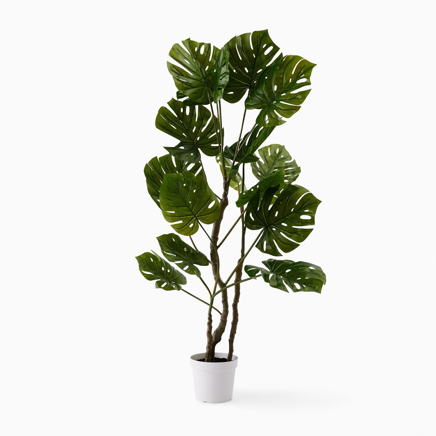 West Elm Faux Potted Monstera Plant - image-4