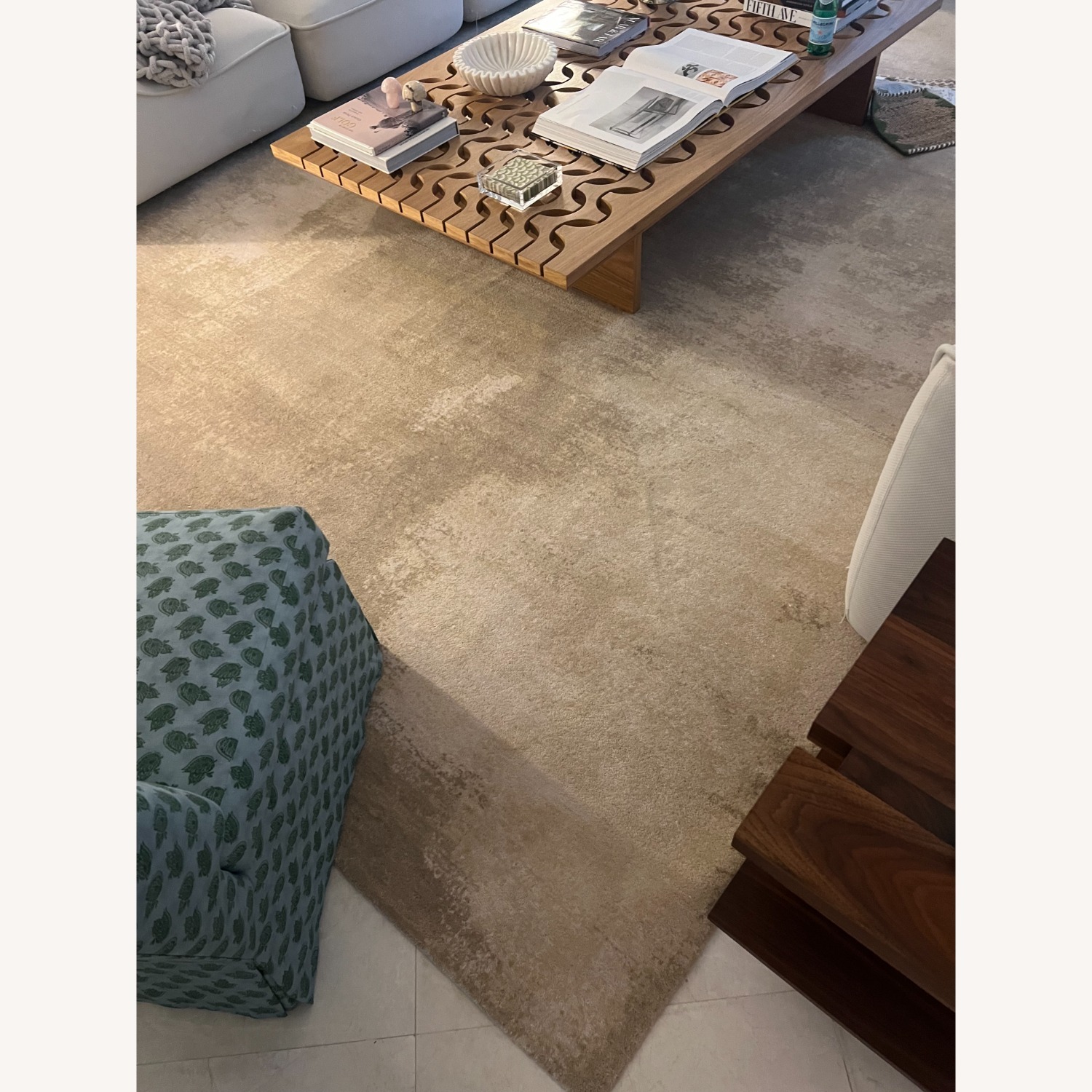 VENETIAN ALABASTER Area Rug 10X14 - image-2