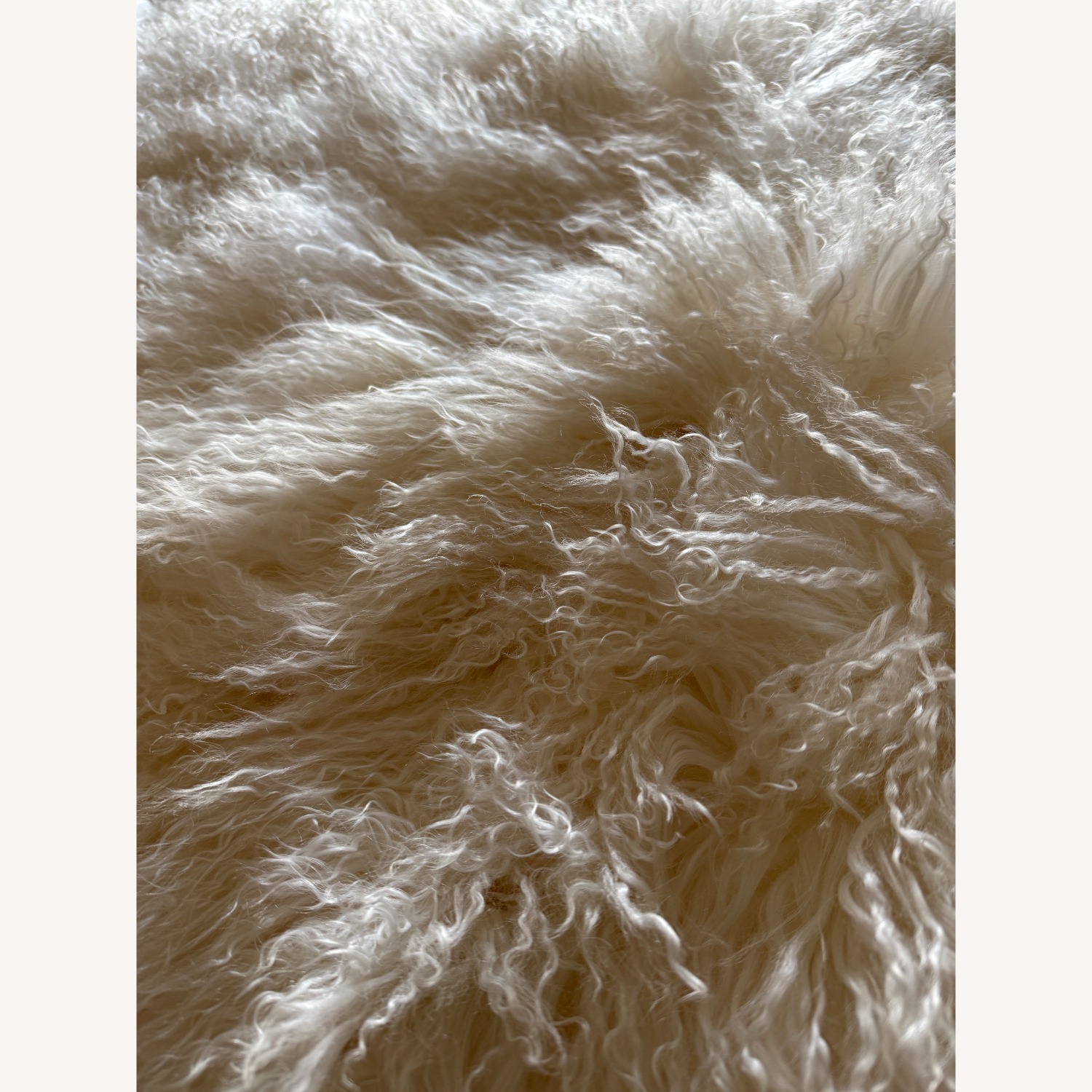 CB2 Warm White Mongolian Sheepskin Fur Throw Blanket - image-3