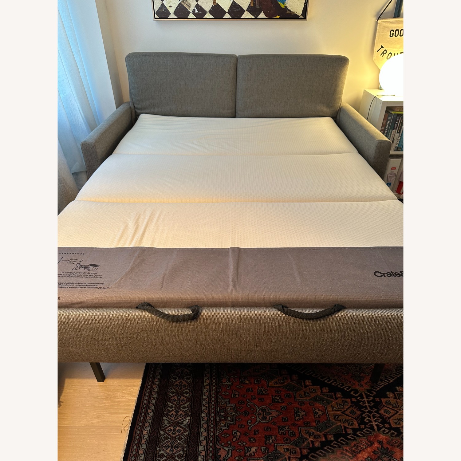 Crate & Barrel Fuller Tufted Queen Sleeper Sofa  - image-3