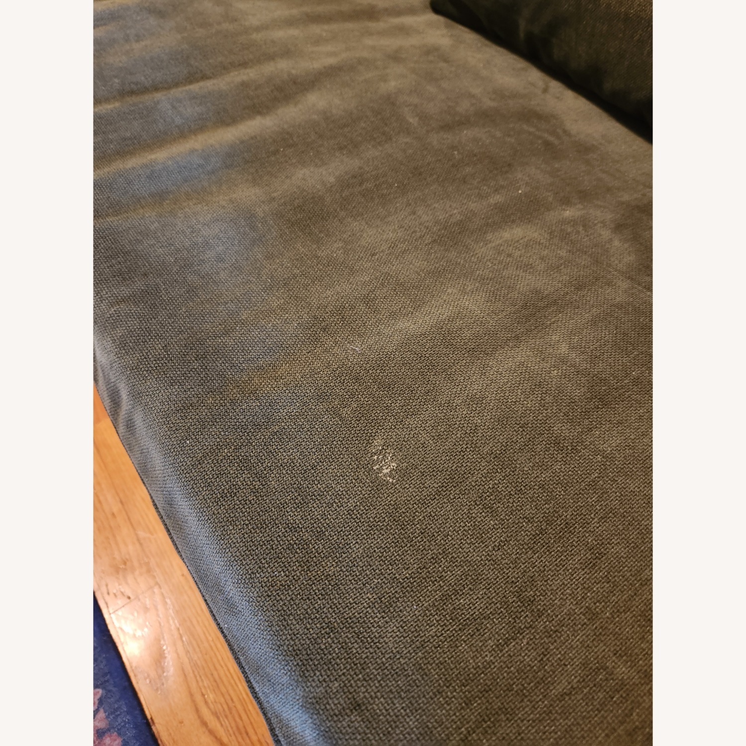 West Elm Marin 80" Sleeper Sofa - image-3