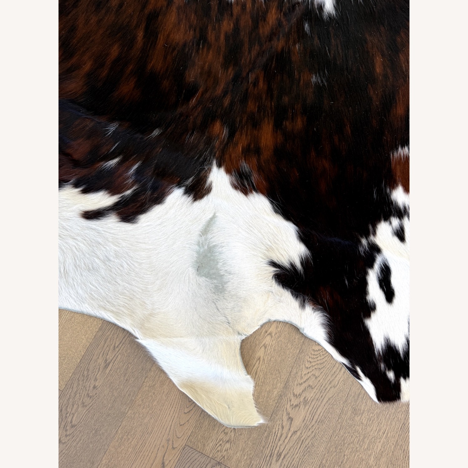 Design Within Reach Spinneybeck Cowhide Rug - image-3