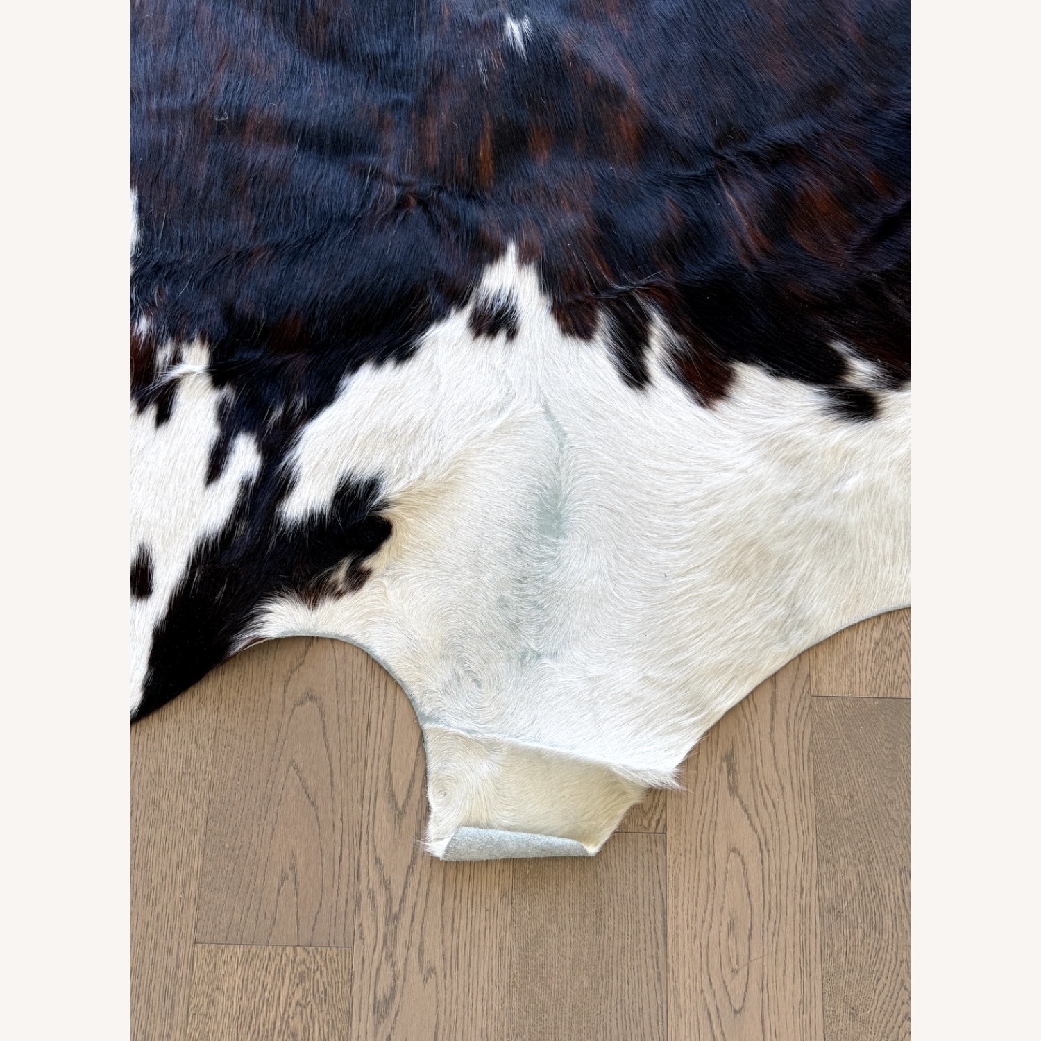 Design Within Reach Spinneybeck Cowhide Rug - image-4