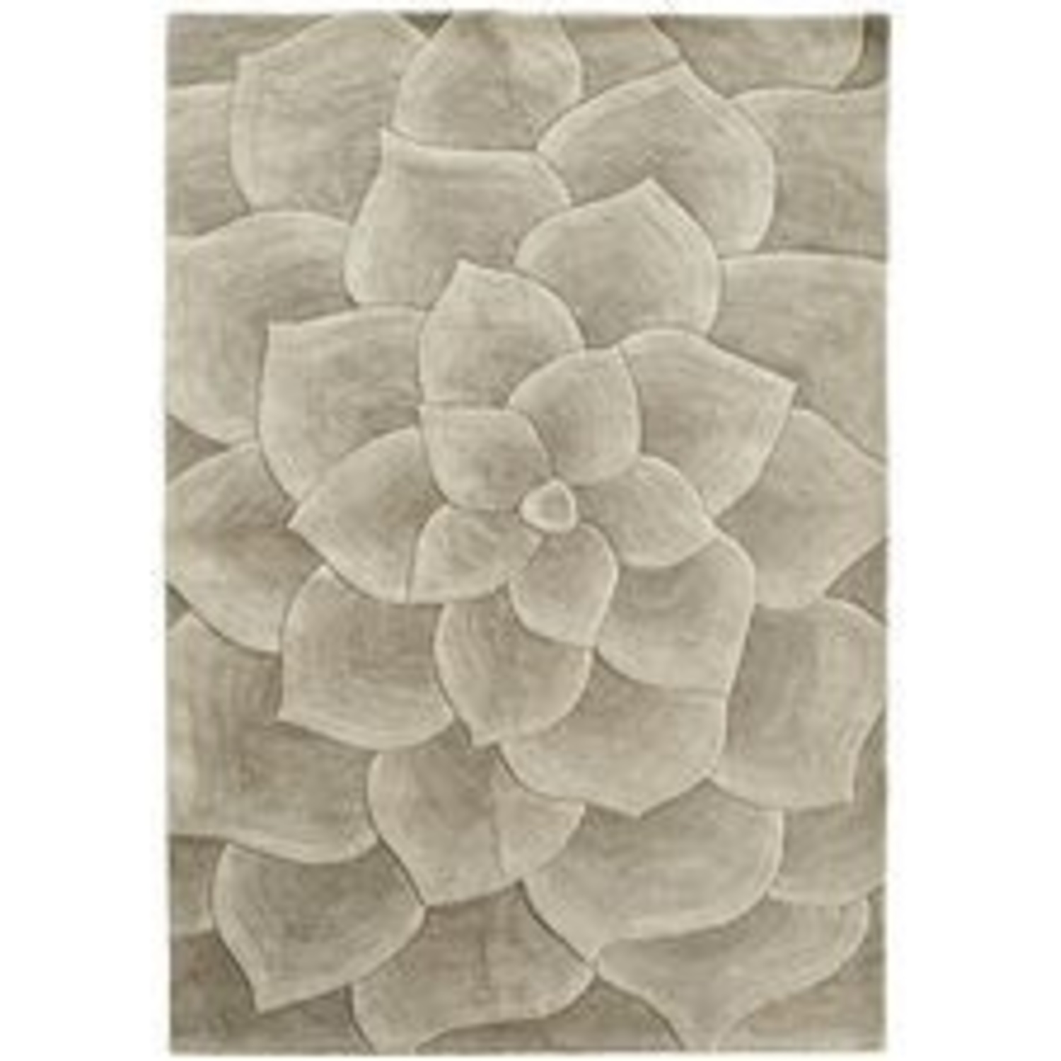 Large Pier One Bloomung Flower Detailed Area Rug 6X9 - image-4