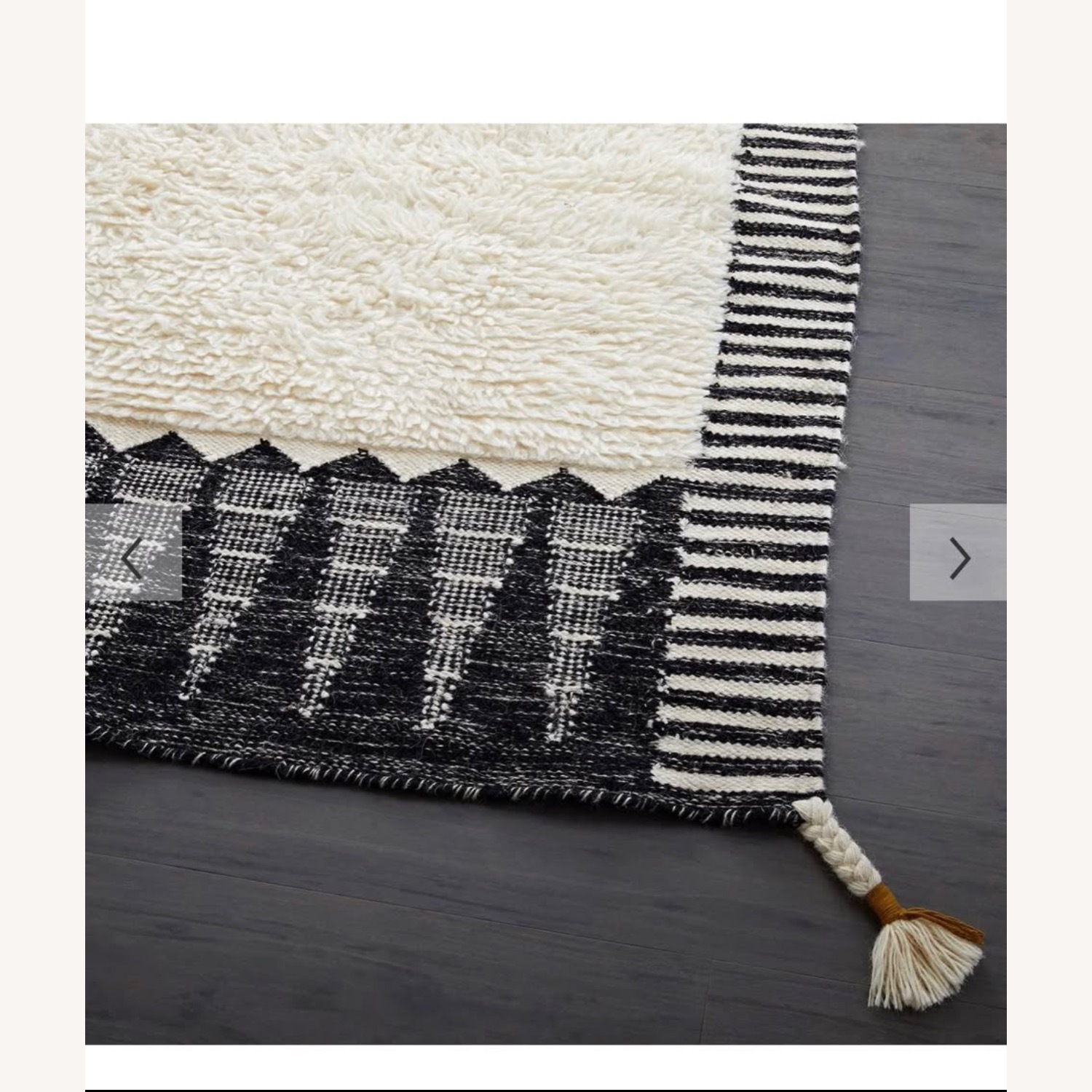 West Elm Ikat Border Shag Rug 9X12 - image-4