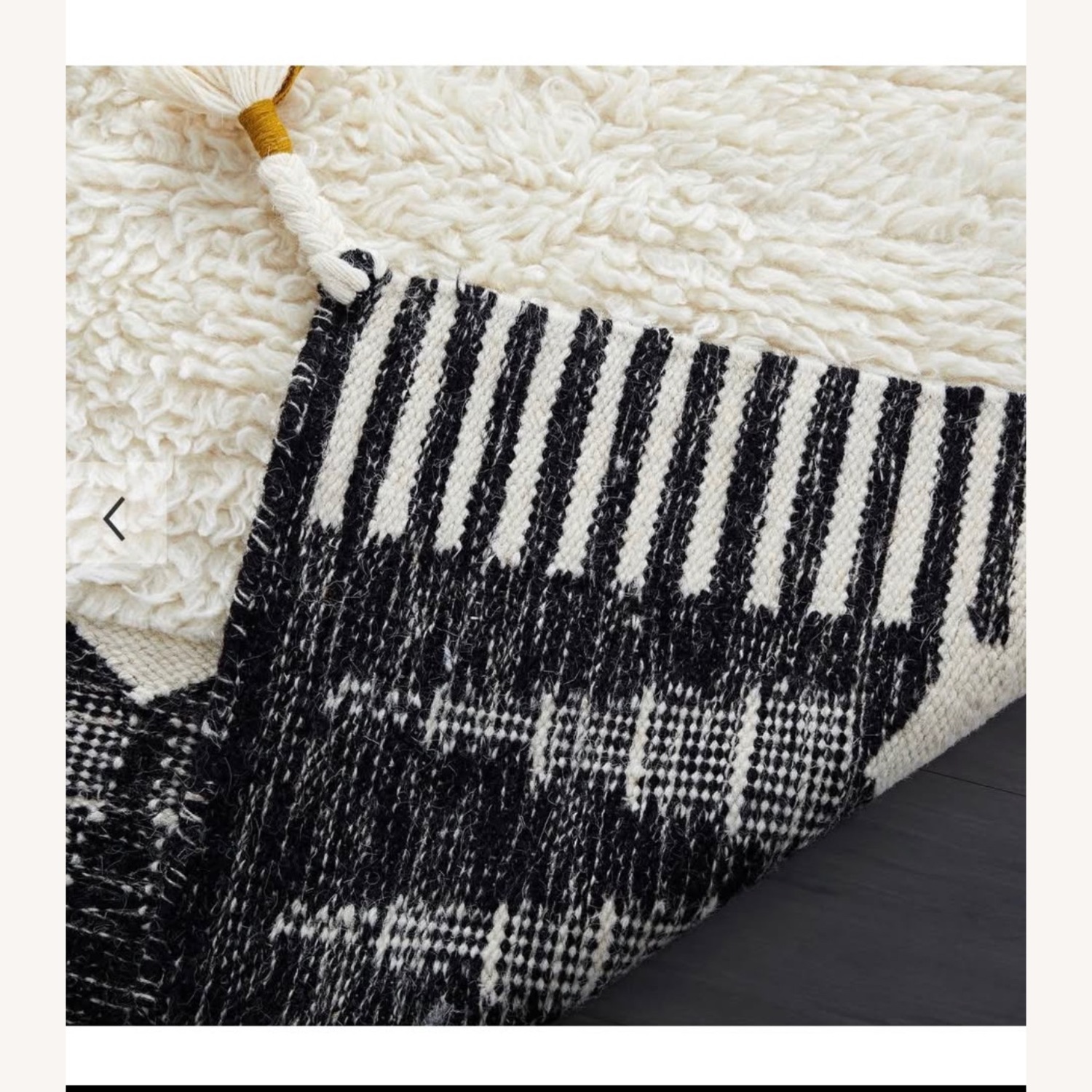West Elm Ikat Border Shag Rug 9X12 - image-5