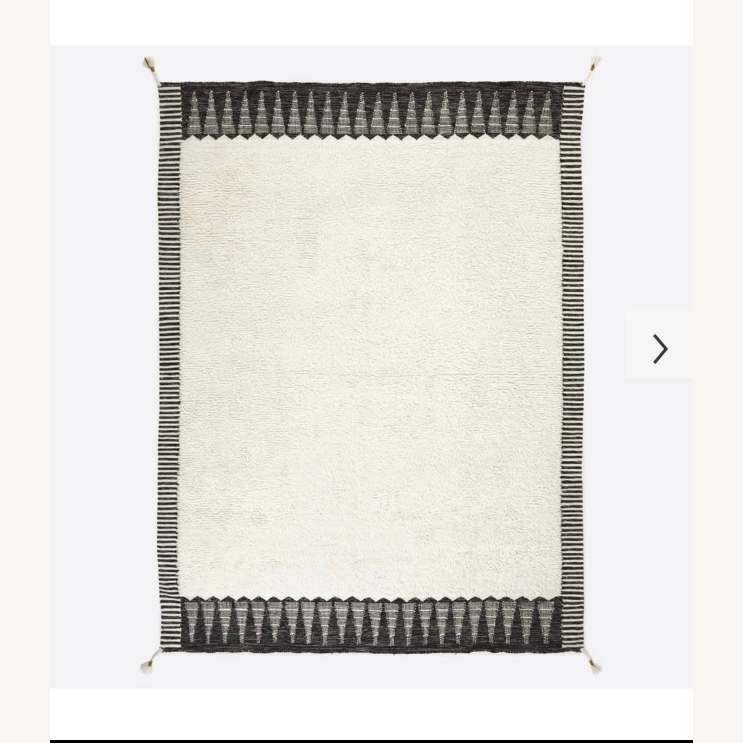 West Elm Ikat Border Shag Rug 9X12 - image-1