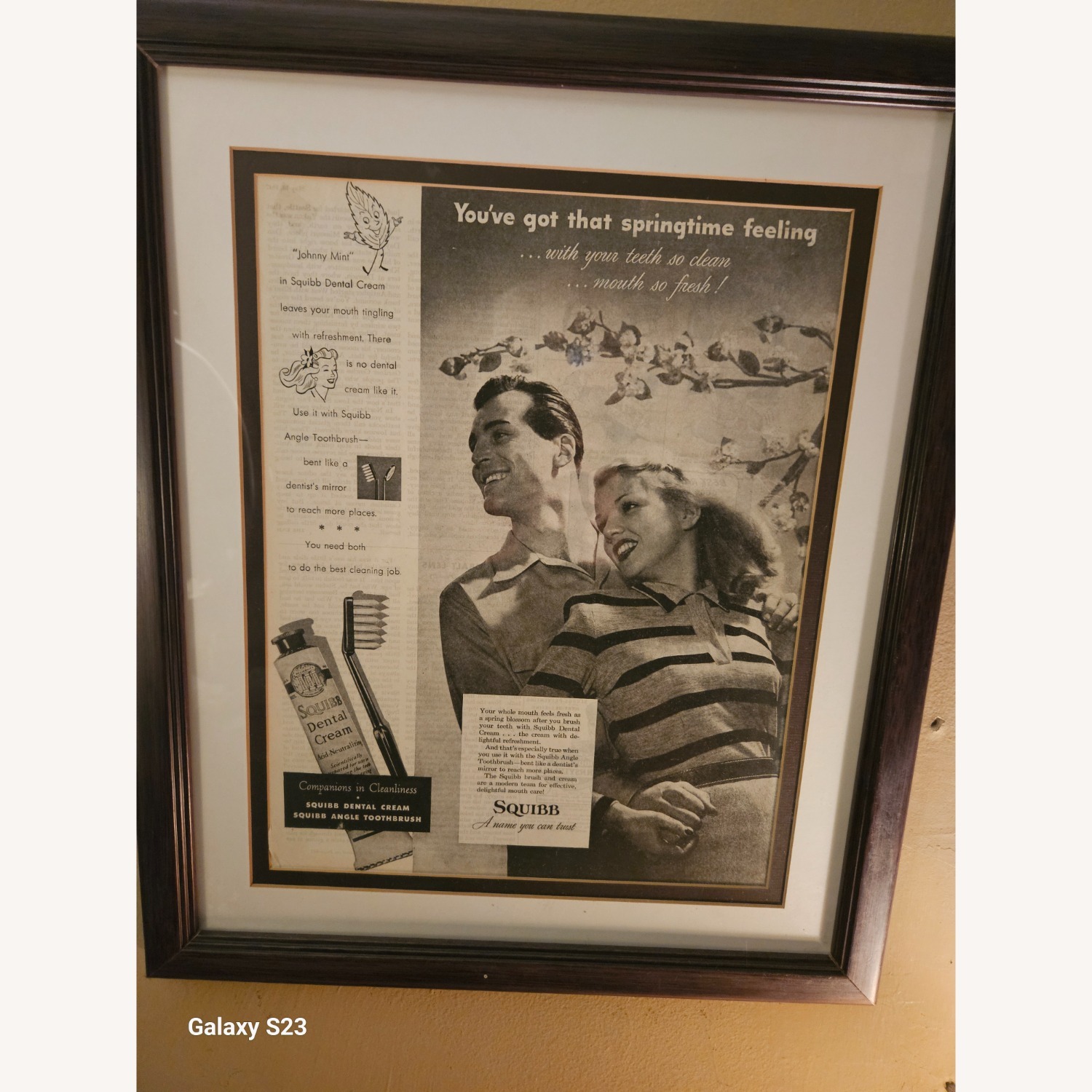 Vintage Dental Art - image-5