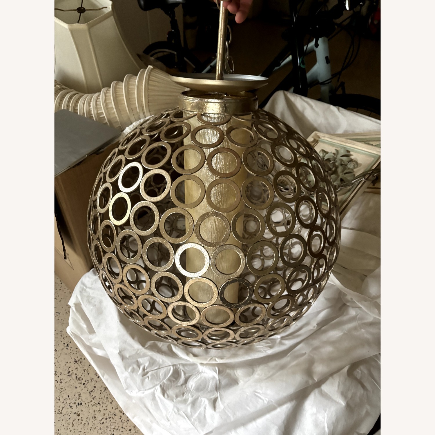 Thomas Robert Caputo - image-3