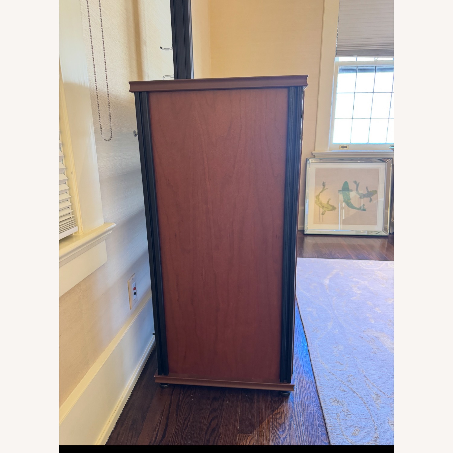 Salamander Designs Media Cabinet  - image-3