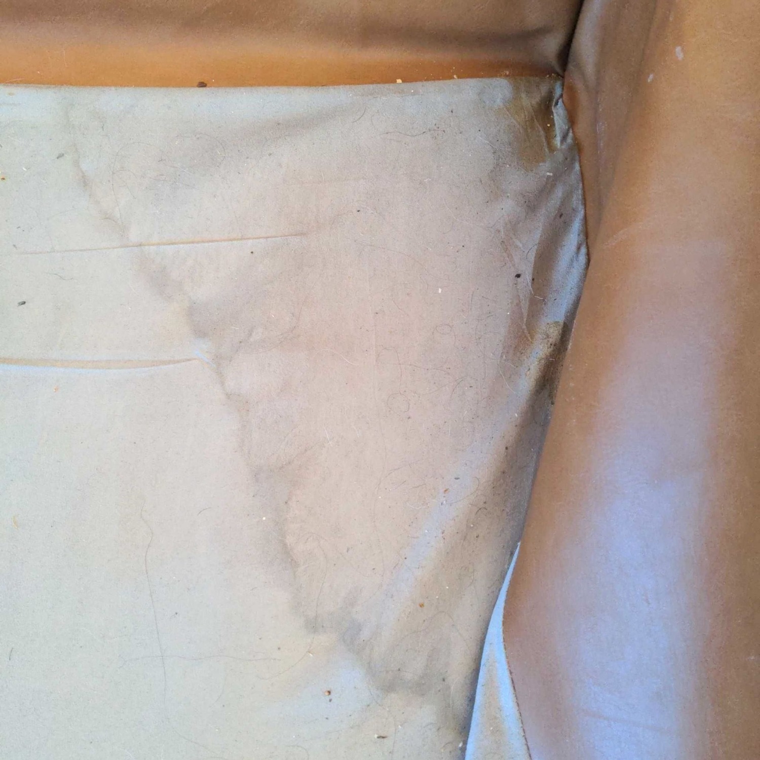 Crate & Barrel Petrie sofa with Custom Camel - image-1