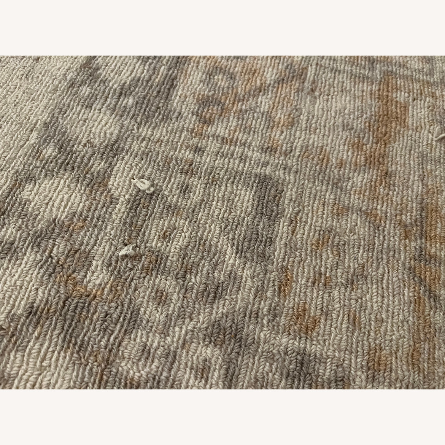 West Elm Mirta Rug 8X10 - image-3