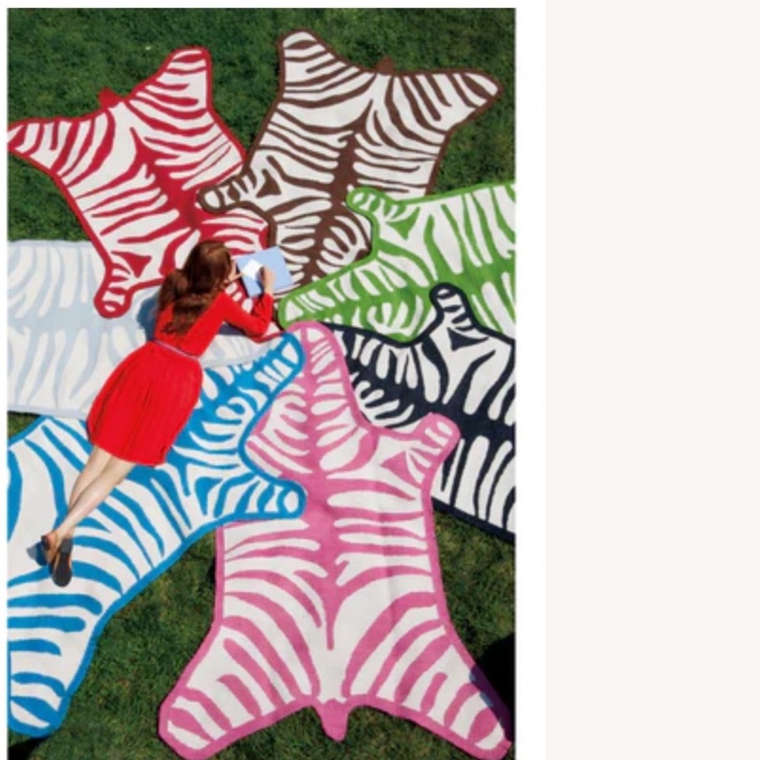 Jonathan Adler Zebra Print Rug - image-9