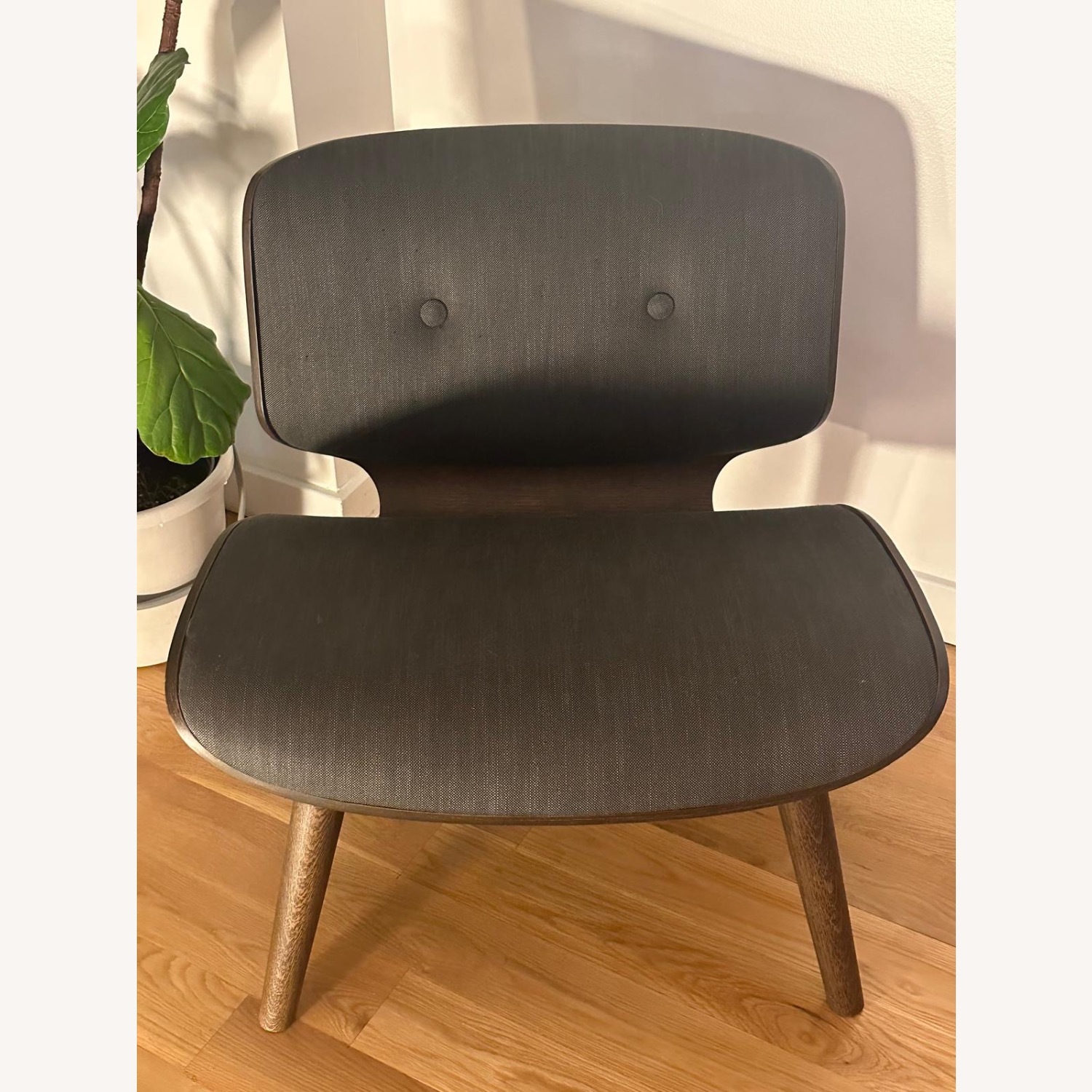 Moooi Nut Lounge Chair - image-3