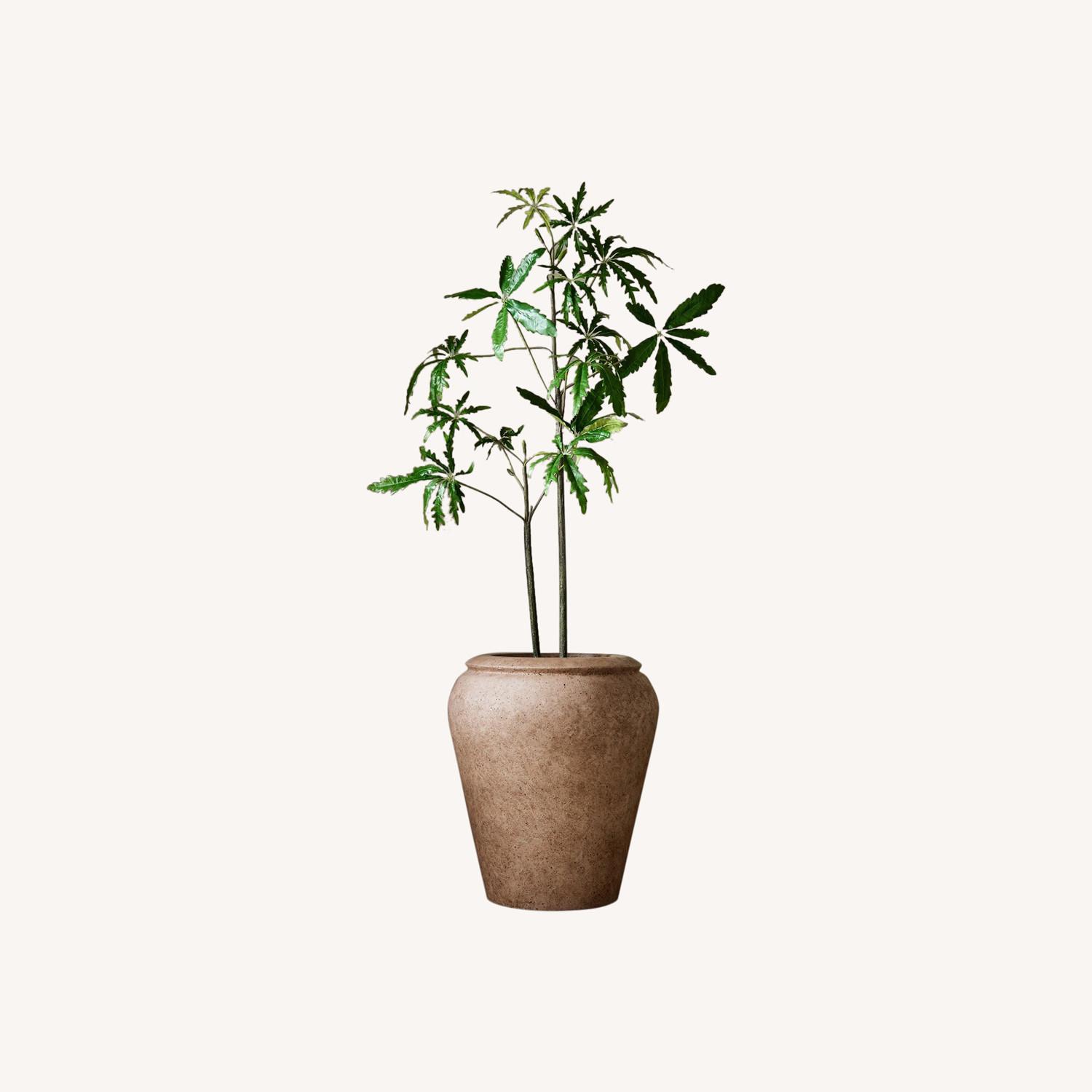 West Elm Faux Potted Brachychyton Rupestris Tree - image-0