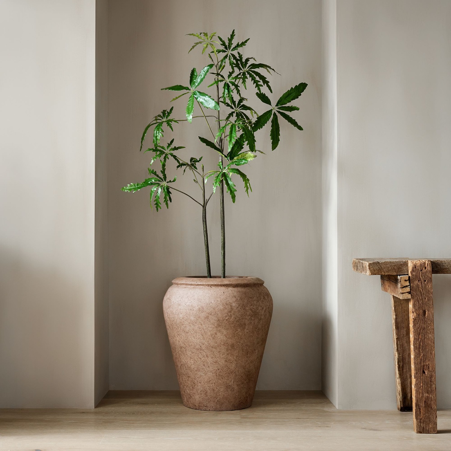 West Elm Faux Potted Brachychyton Rupestris Tree - image-3