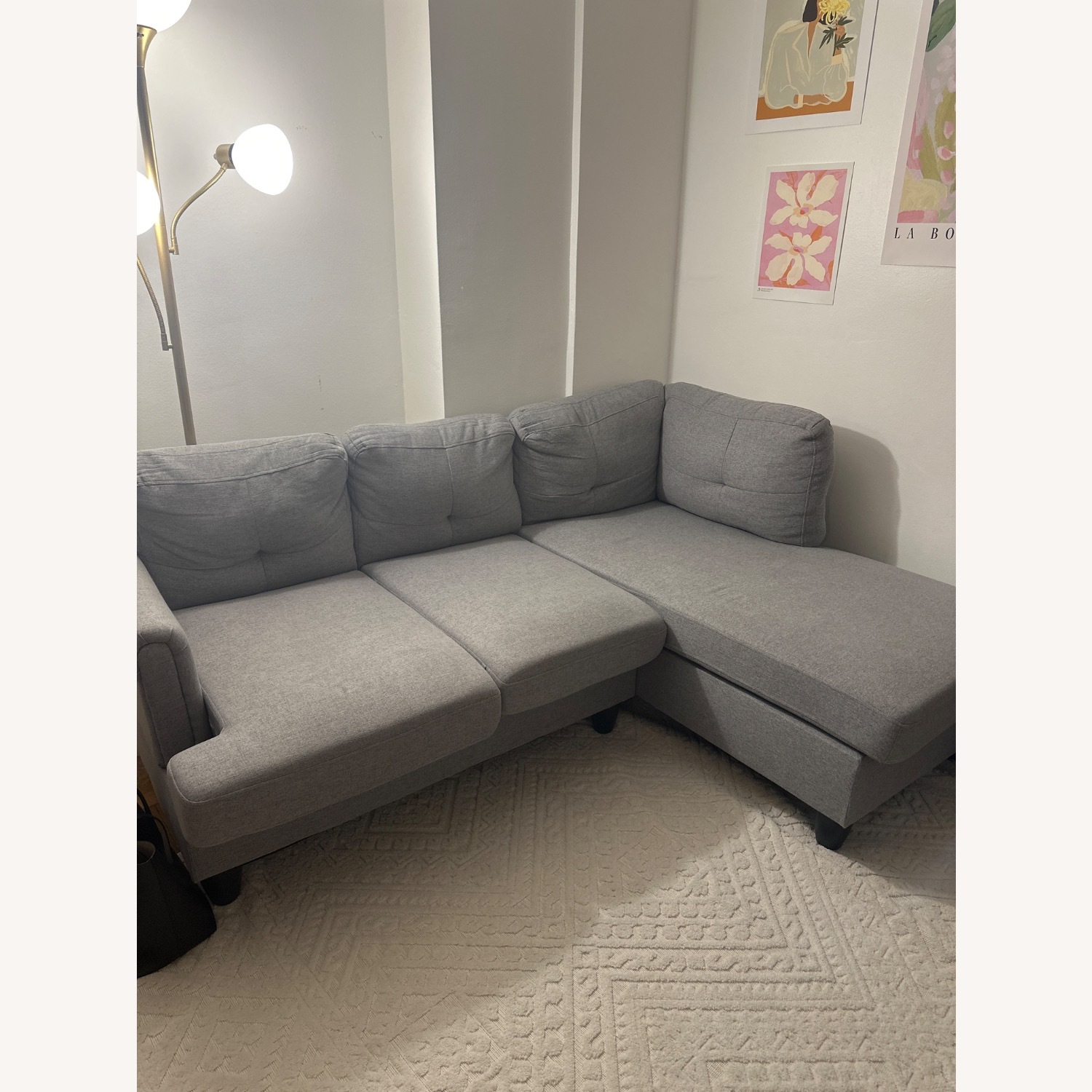 Amazon Sofa - image-1