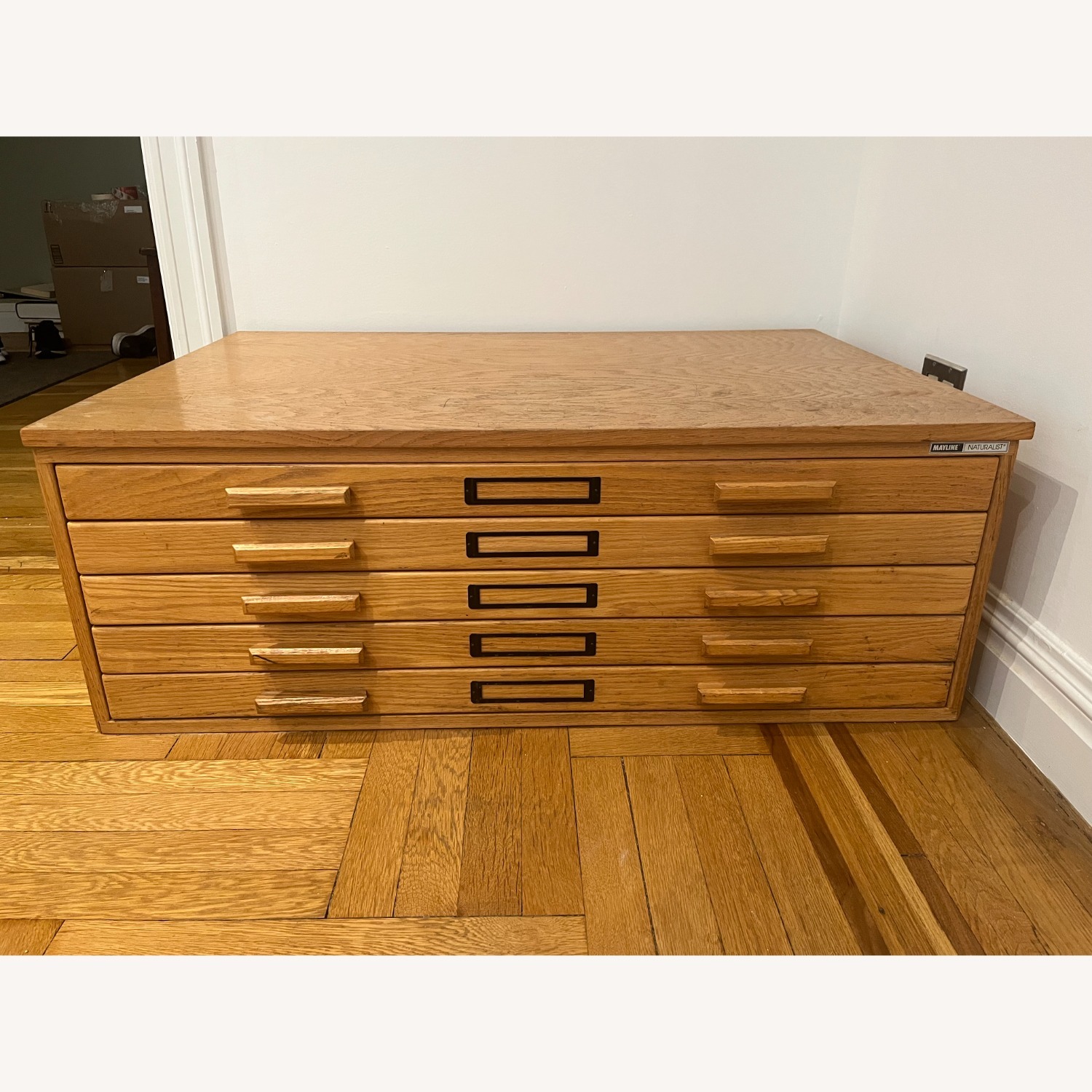 Mayline Naturalist Flat File - image-1