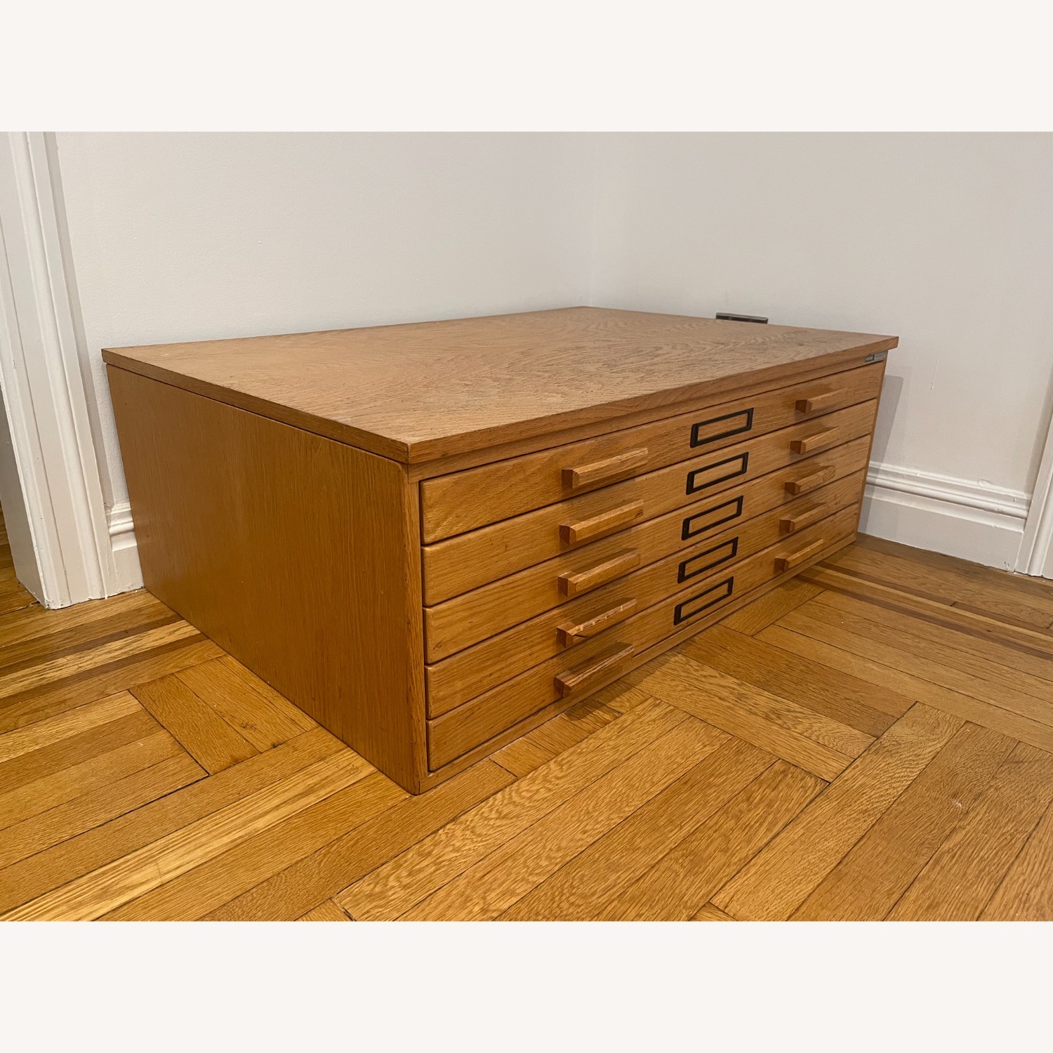 Mayline Naturalist Flat File - image-2