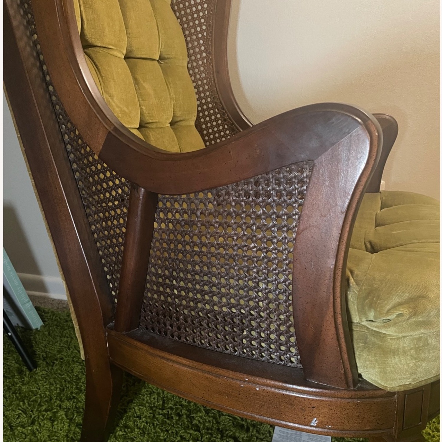 Lewittes Velvet Cane Armchair - image-3