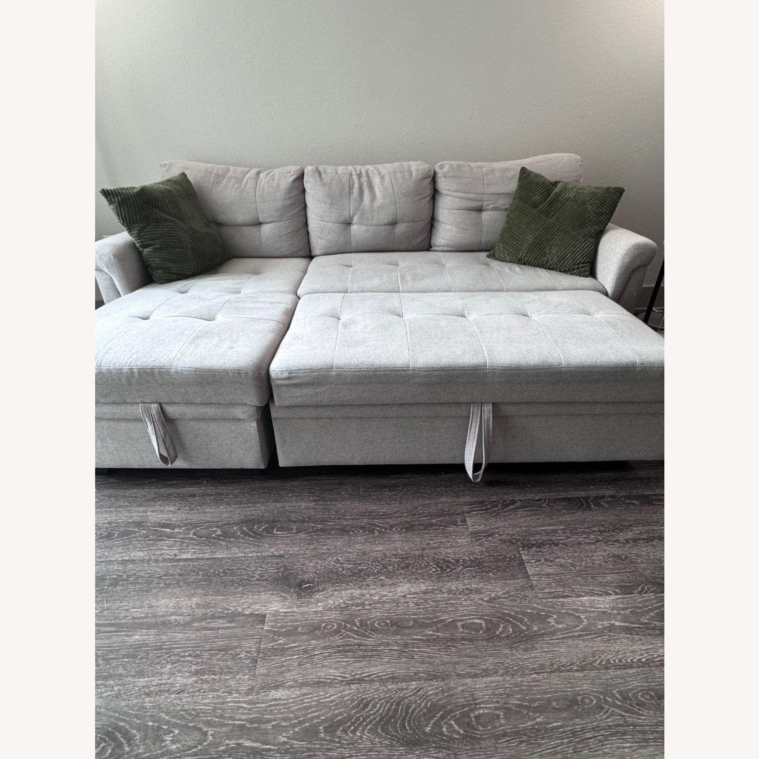 Sleeper Couch & Sofa Bed with Storage - image-2