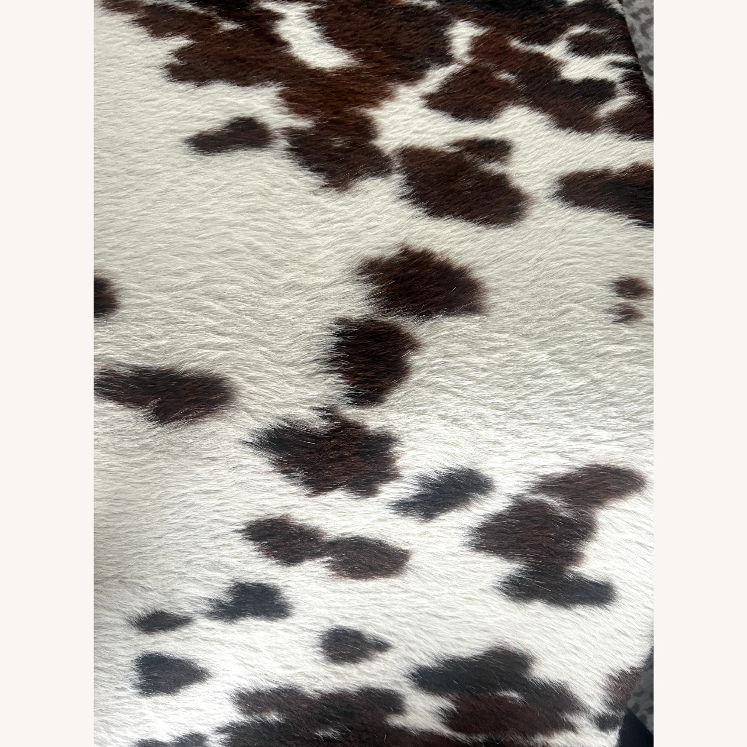 Le Corbusier Lc4 Cowhide Pony Lounge by Cassina - image-11