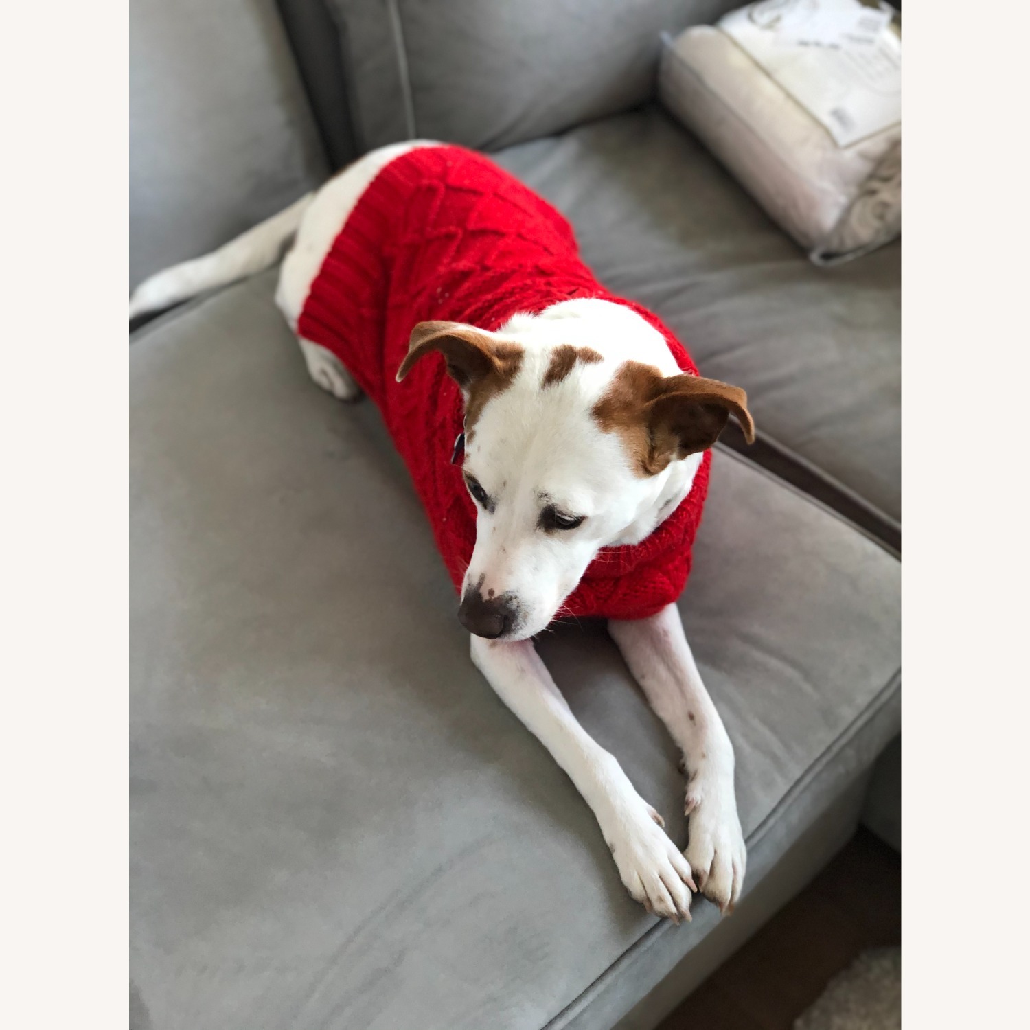 West Elm Harris Sleeper Sofa Chaise Grey - image-5