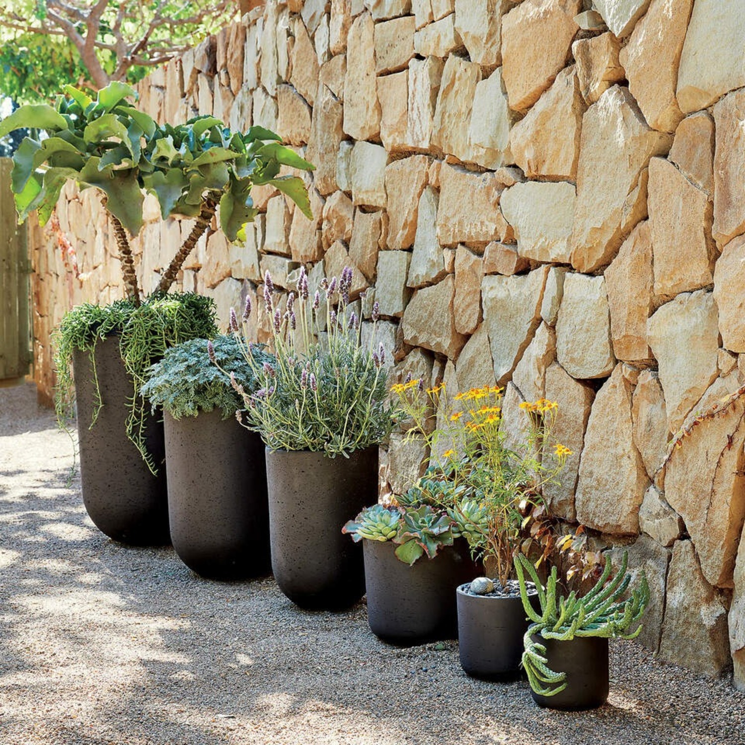 CB2 Seminyak Black Indoor/Outdoor Planter (Large) - image-5