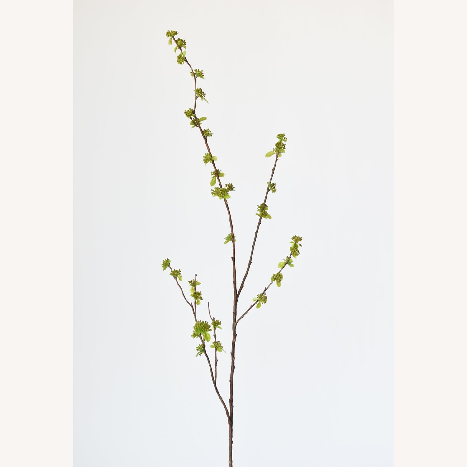 Afloral Faux Branch with Green Buds - image-1