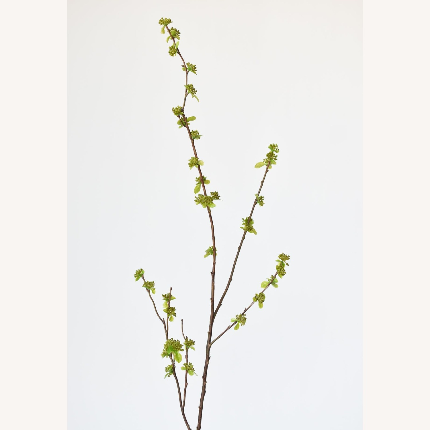 Afloral Faux Branch with Green Buds - image-3