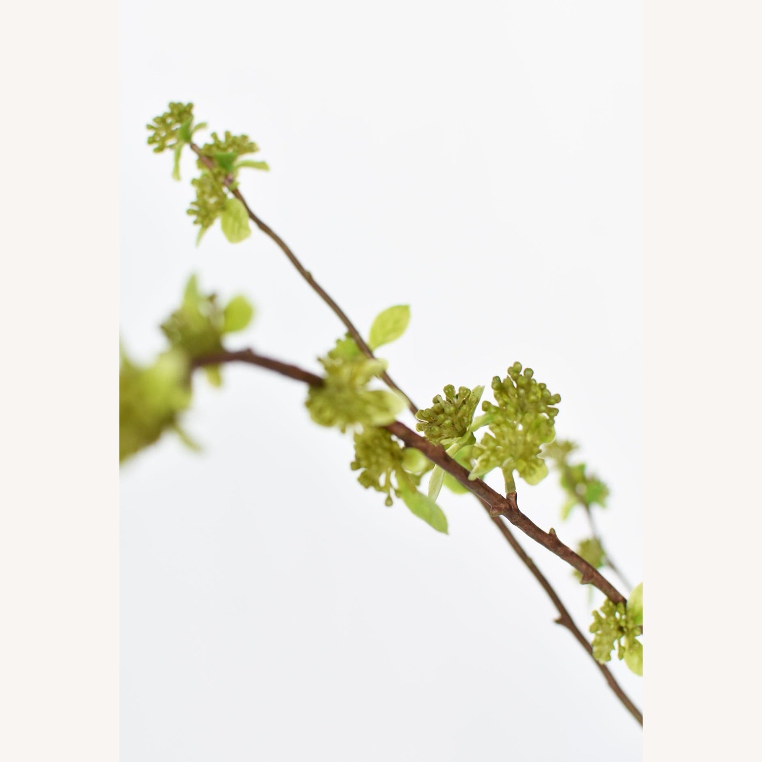 Afloral Faux Branch with Green Buds - image-6