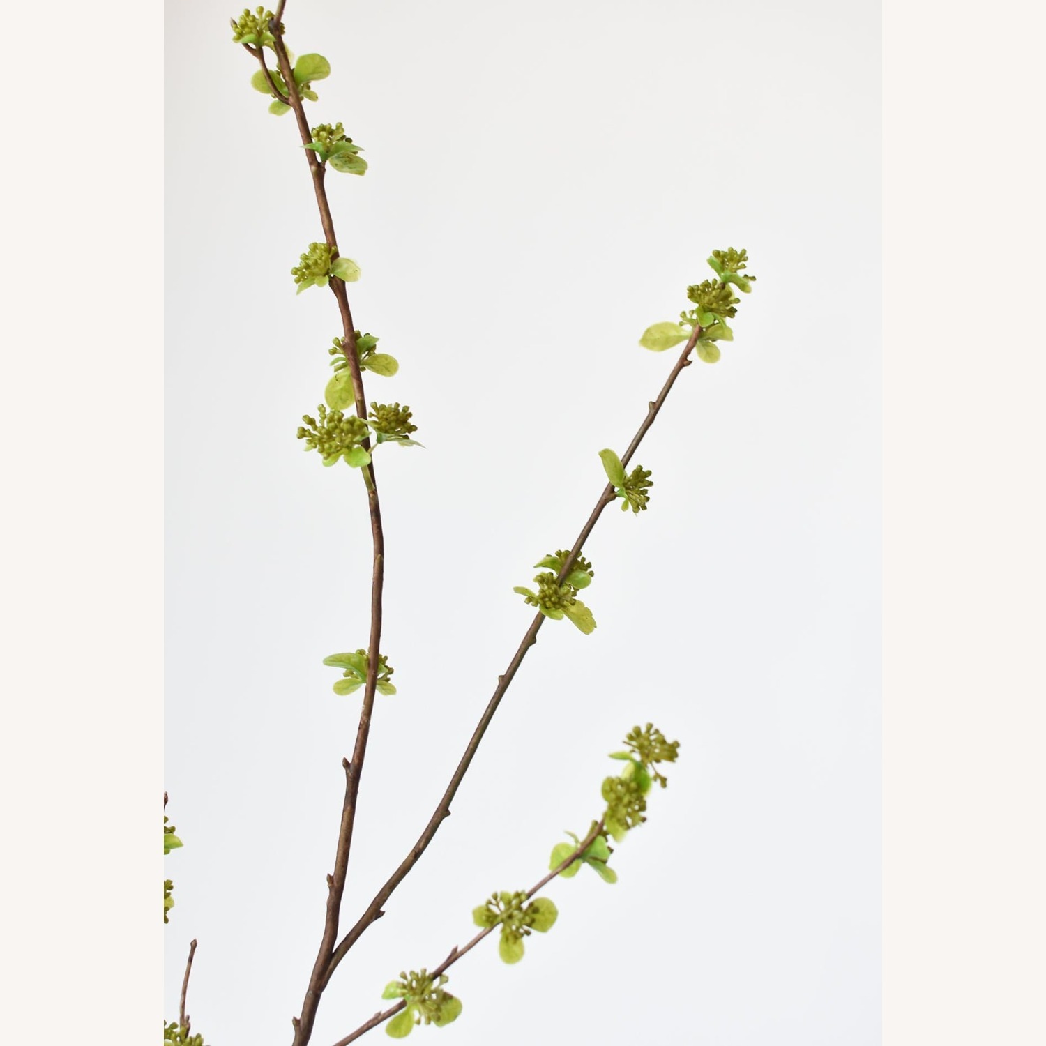 Afloral Faux Branch with Green Buds - image-4