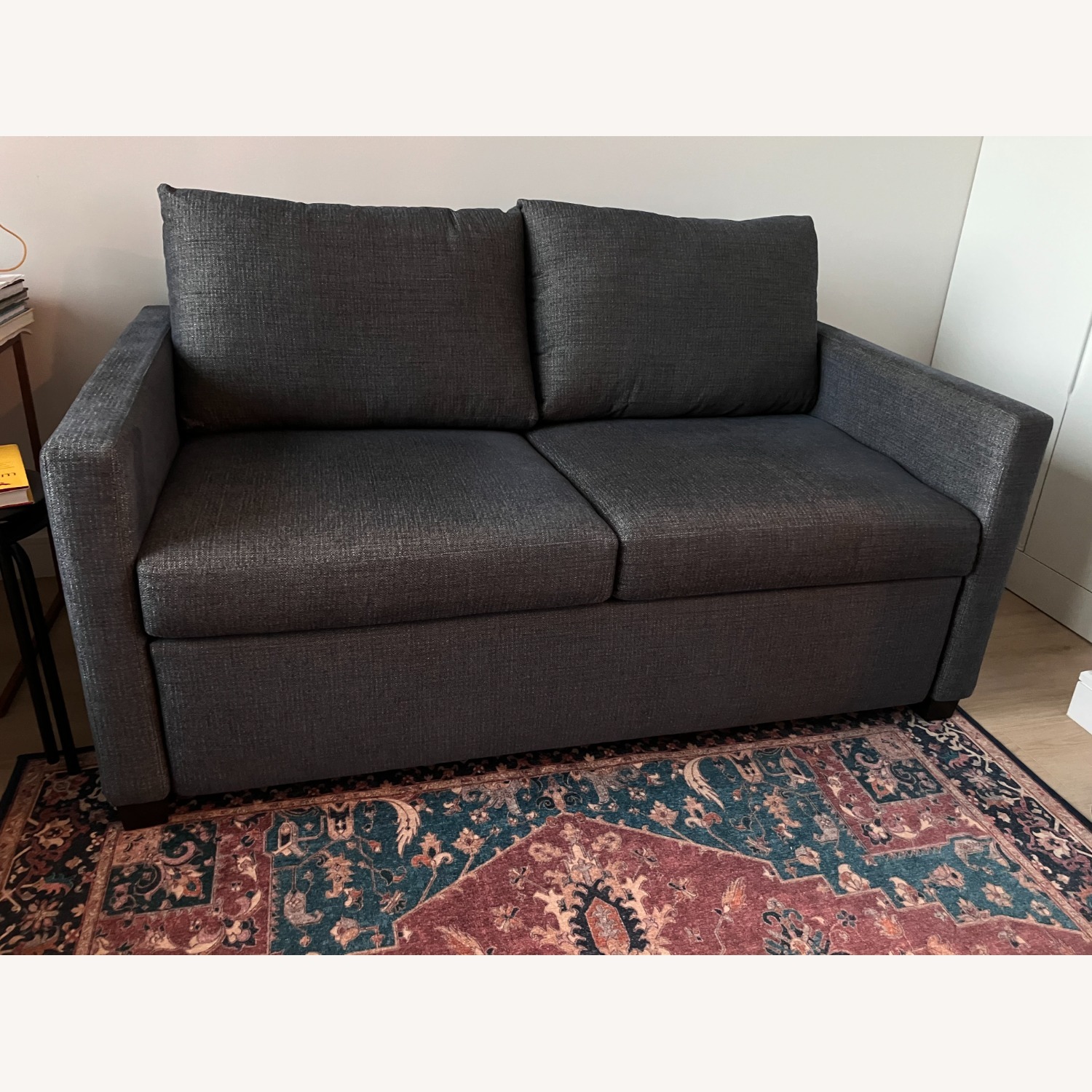 Room and Board Allston Sleeper Sofa - image-6