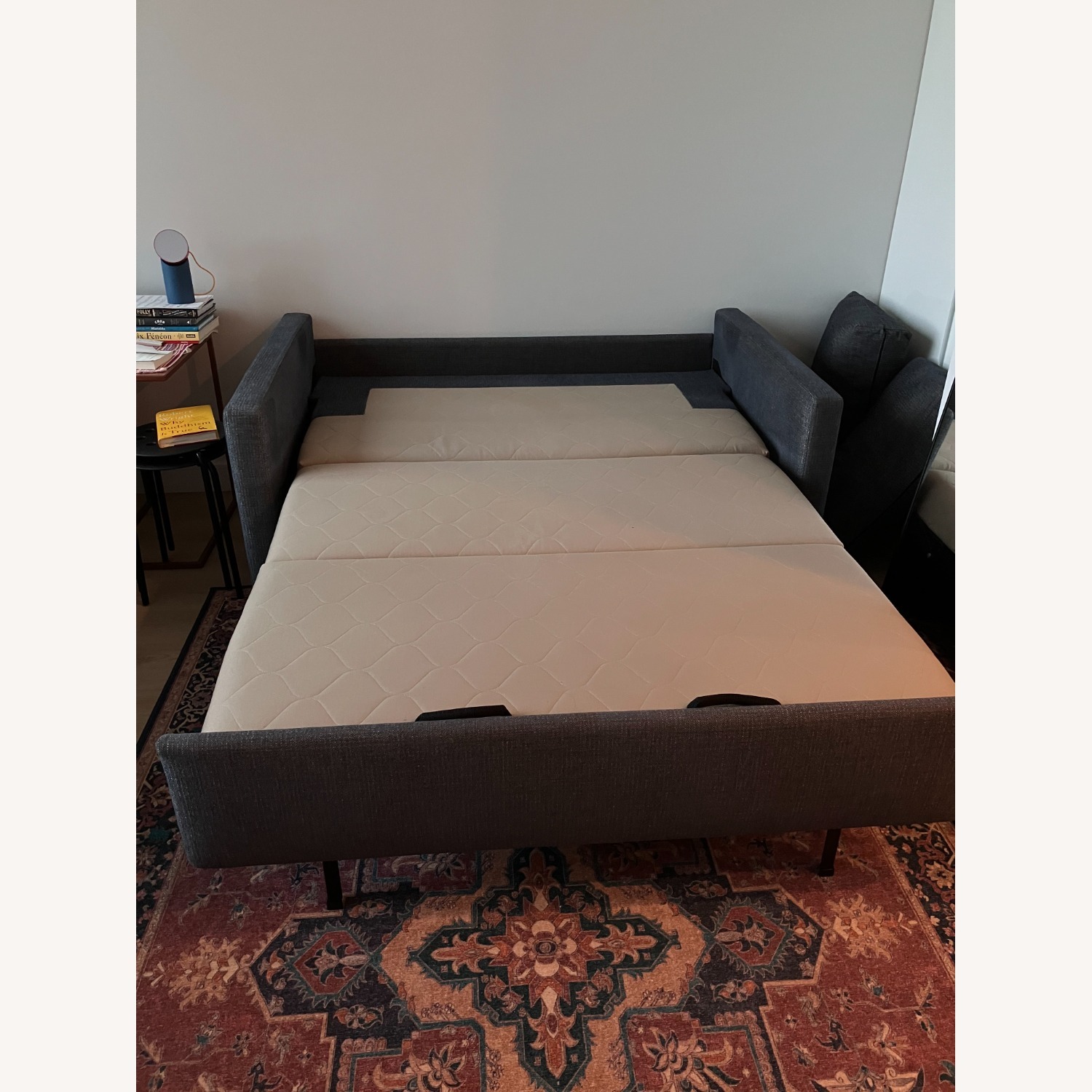 Room and Board Allston Sleeper Sofa - image-5