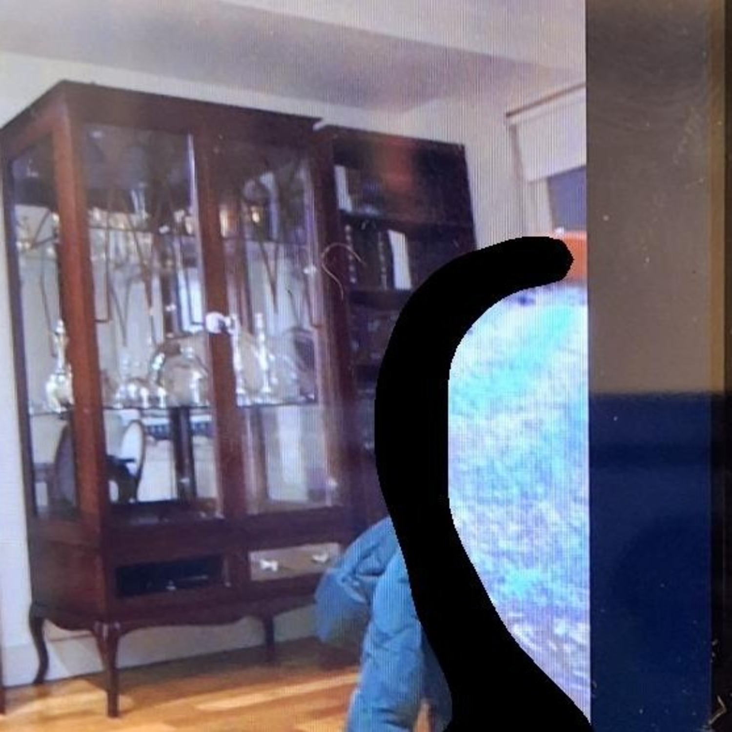 China Closet - image-0