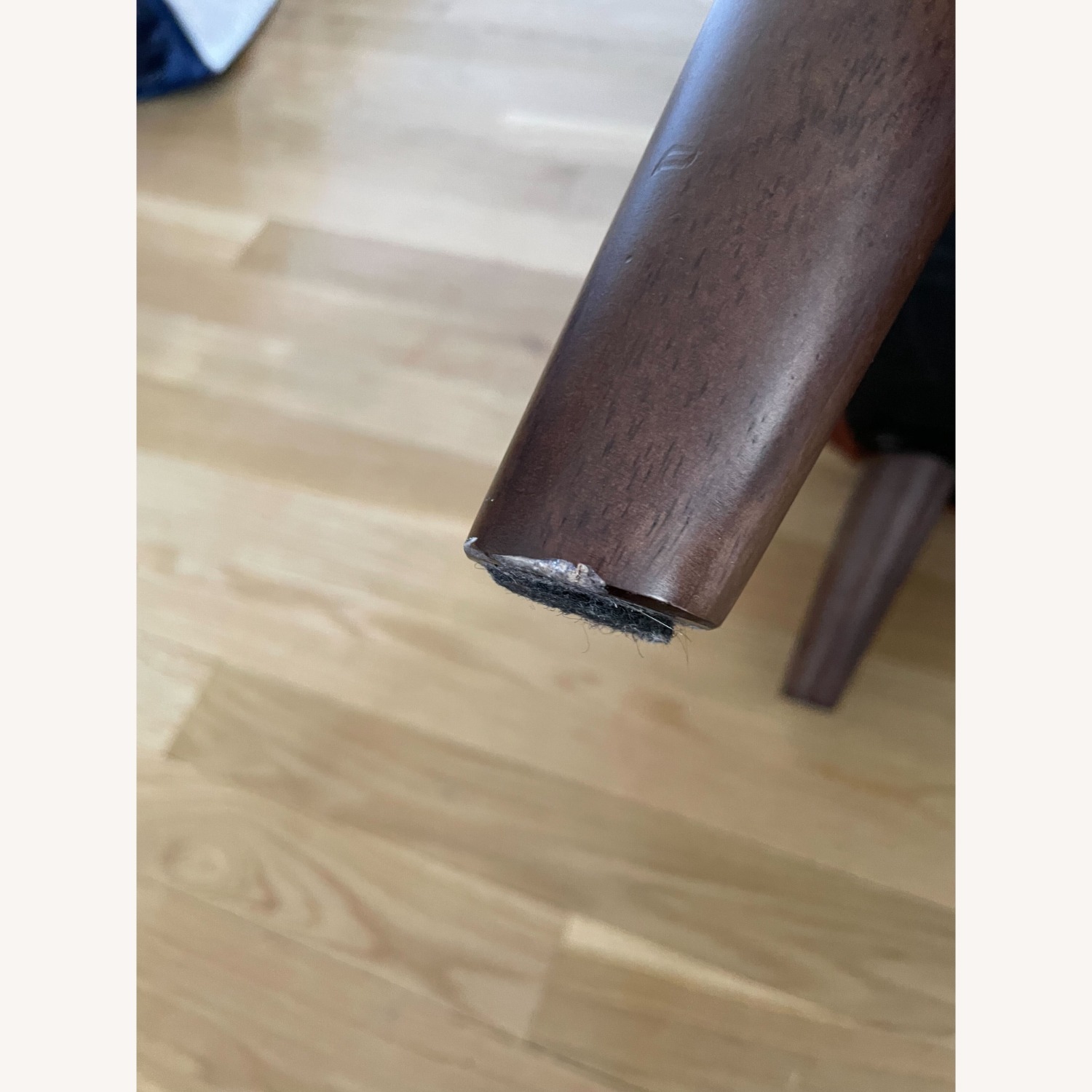 Article Mod 35" Lounge Chair in Orange Spice - image-4