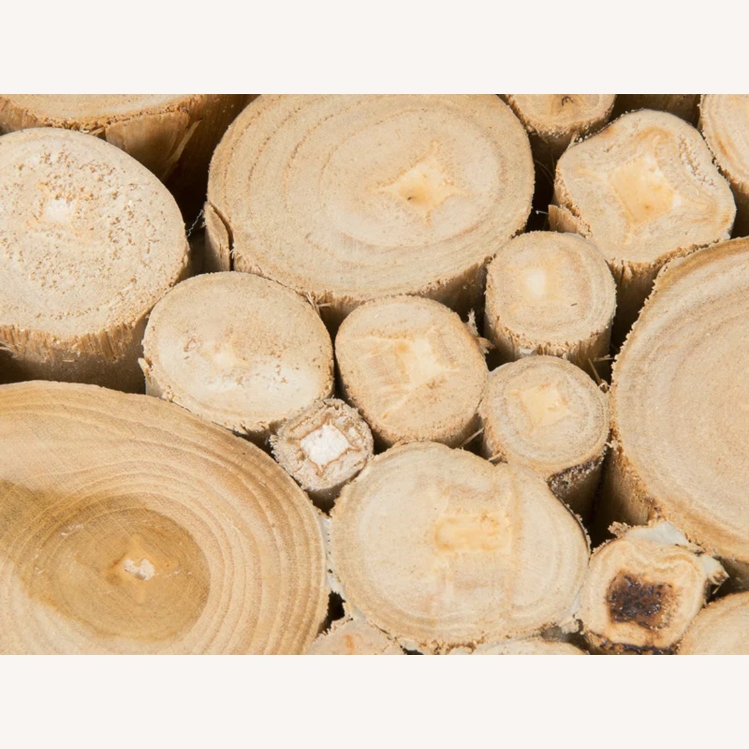 Wayfair Solid Wood Coffee Table - image-2