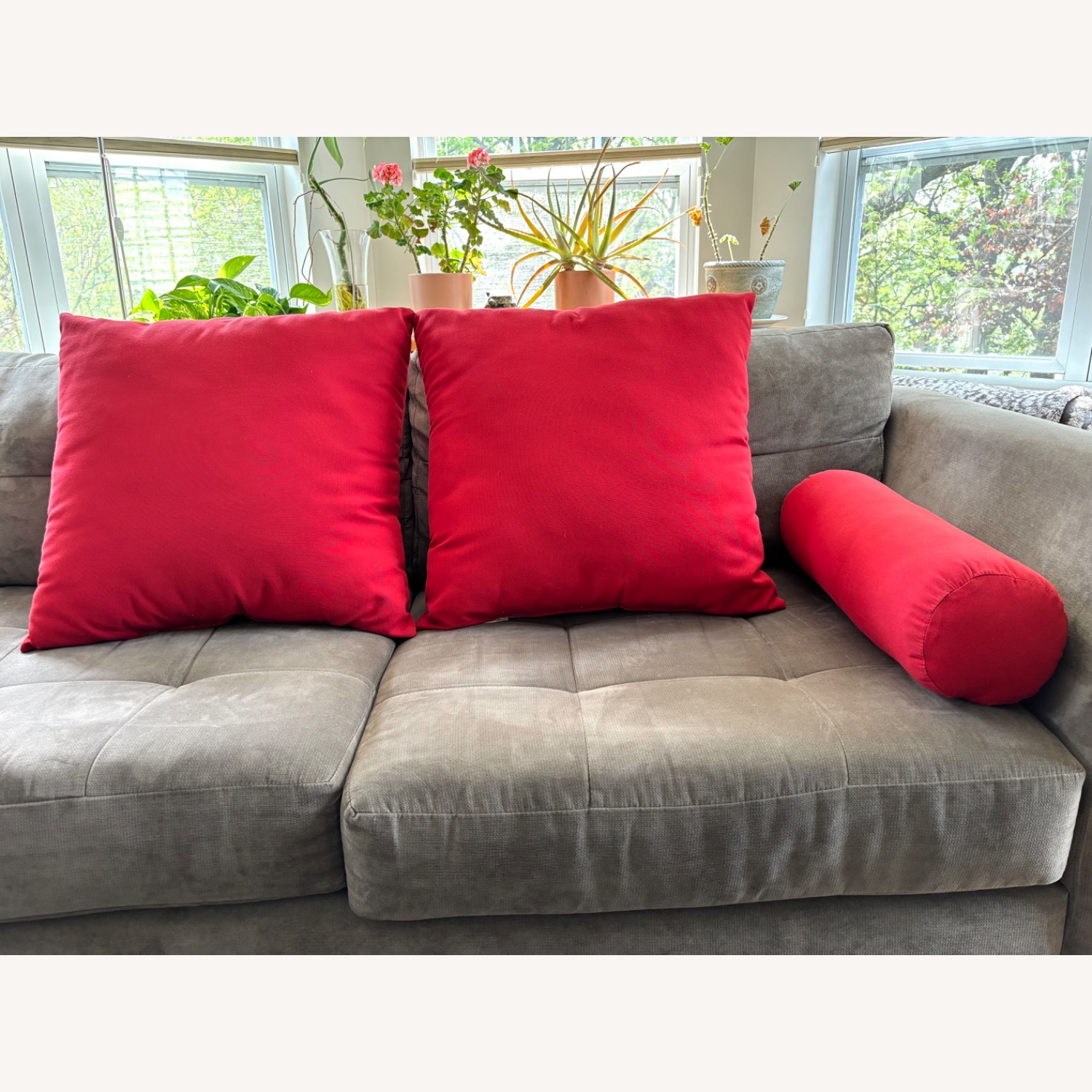 Room & Board Lira Arm Chairs - image-5