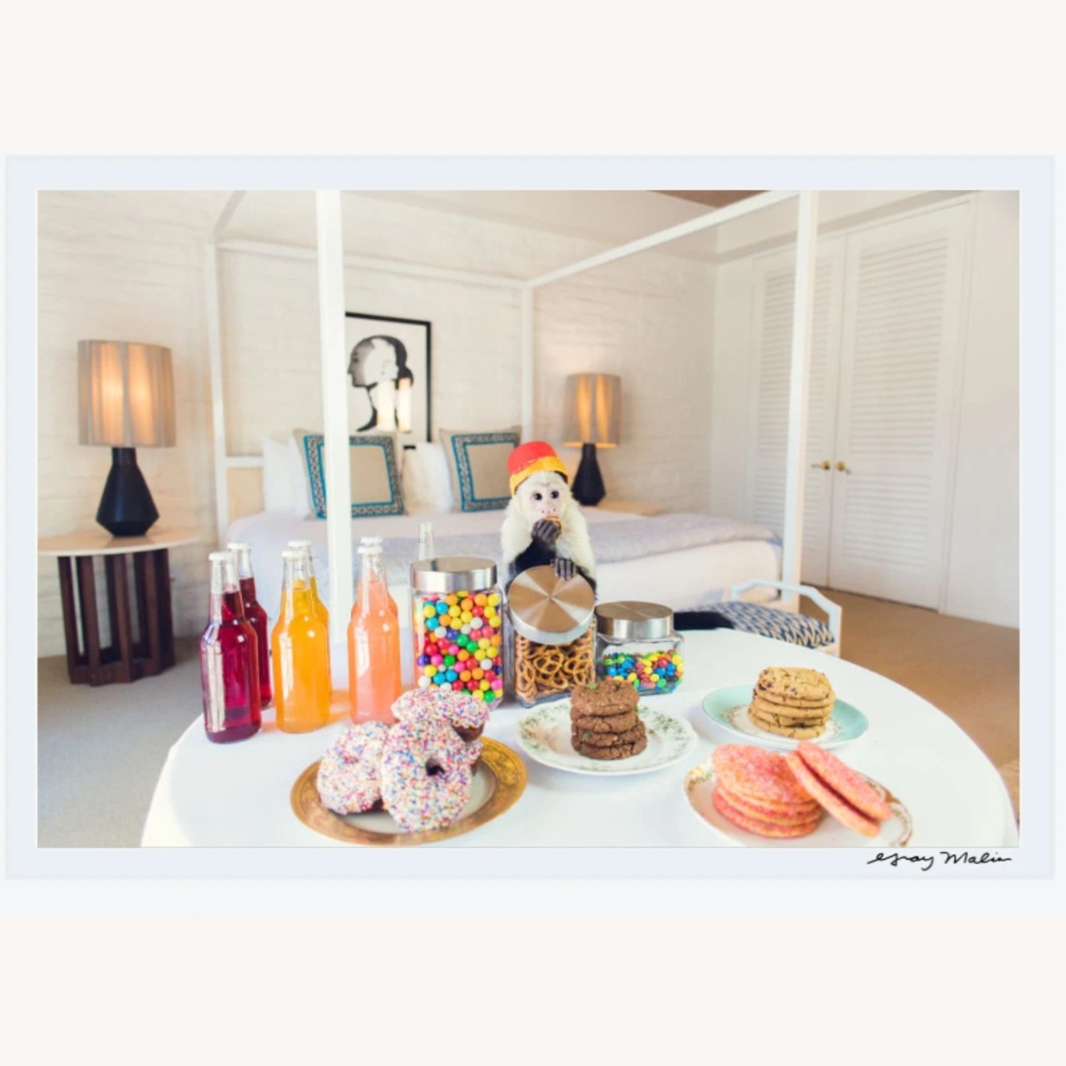 Gray Malin Sweet Tooth - image-4