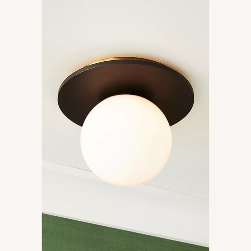 Used Anthropologie Tanner Globe Flush Mount in Black for sale on AptDeco