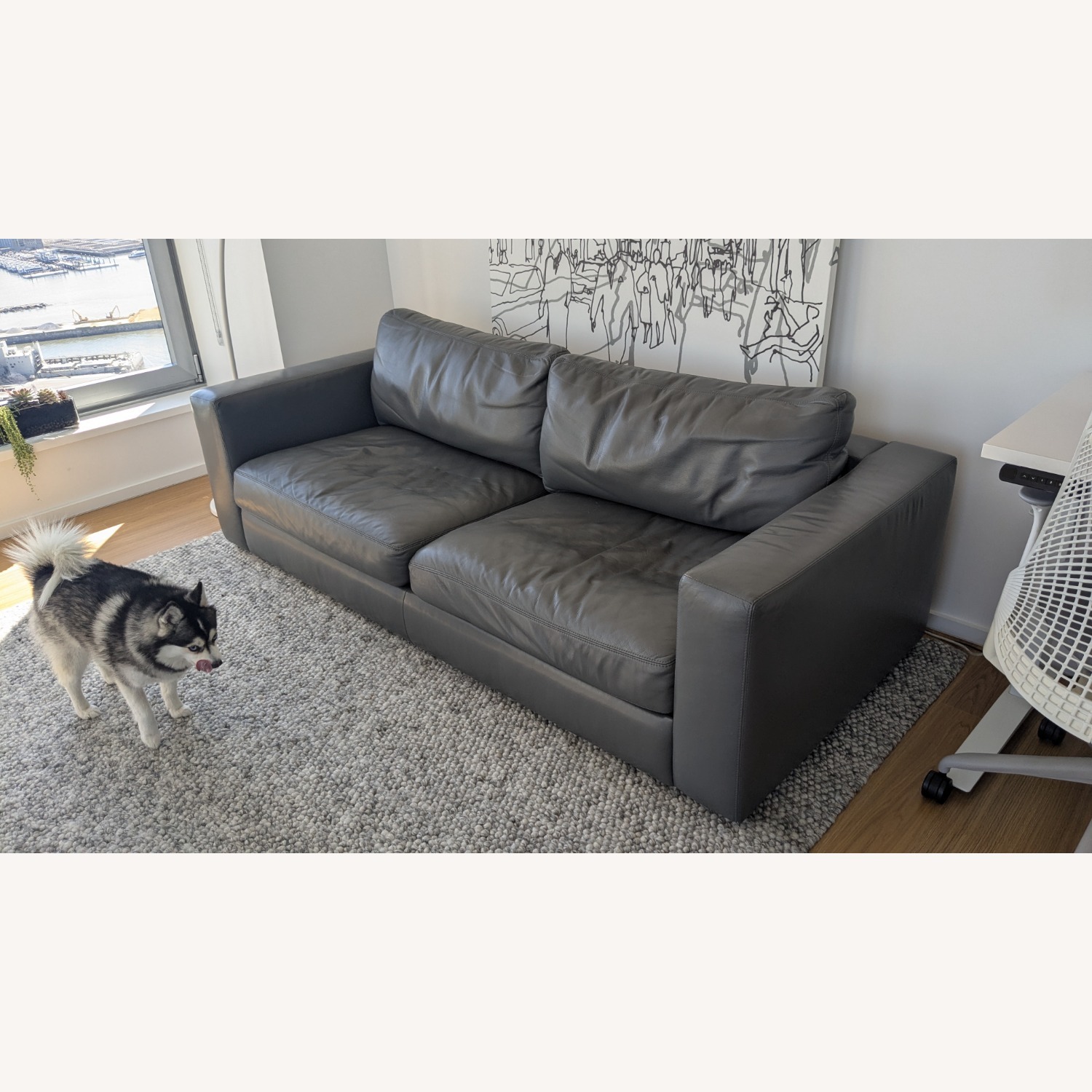 Design Within Reach Reid Leather Sofa - image-6