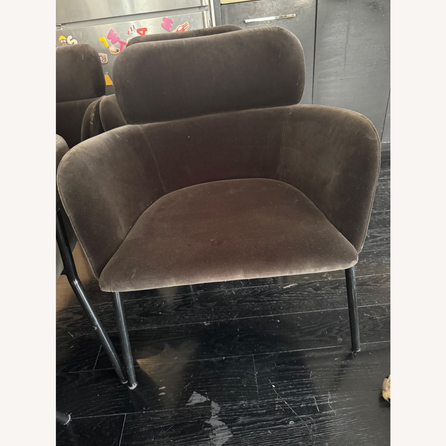 CB2 Azalea Chairs in Mink - image-6