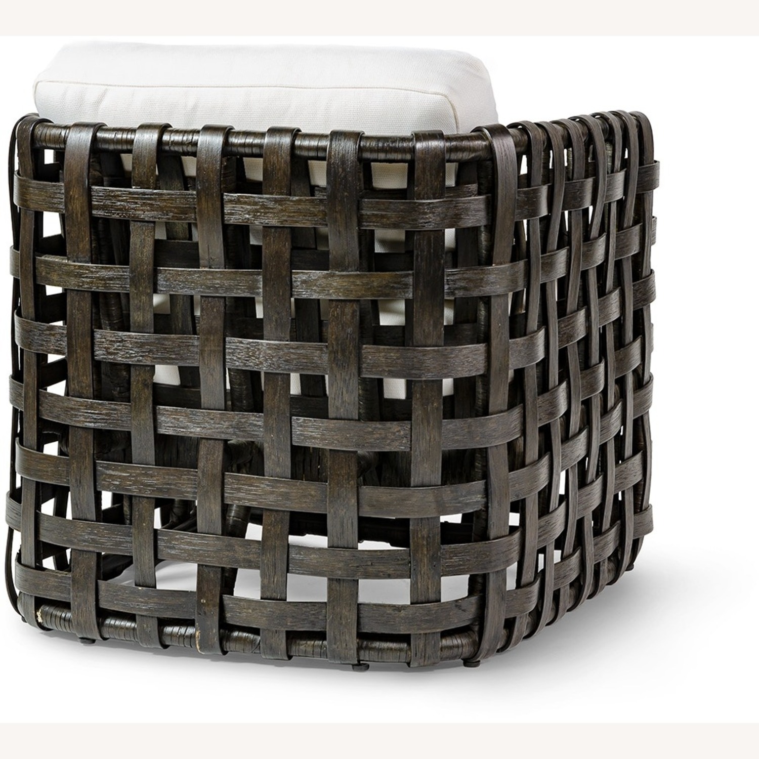 Palecek Medford Lounge Chair  - image-1