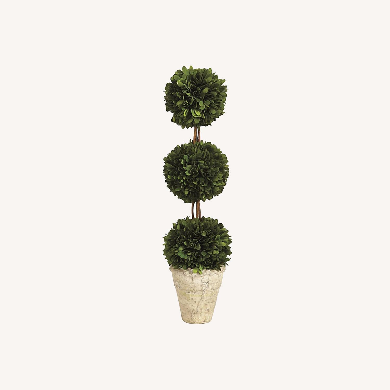 Ballard Designs Large Boxwoods - image-0
