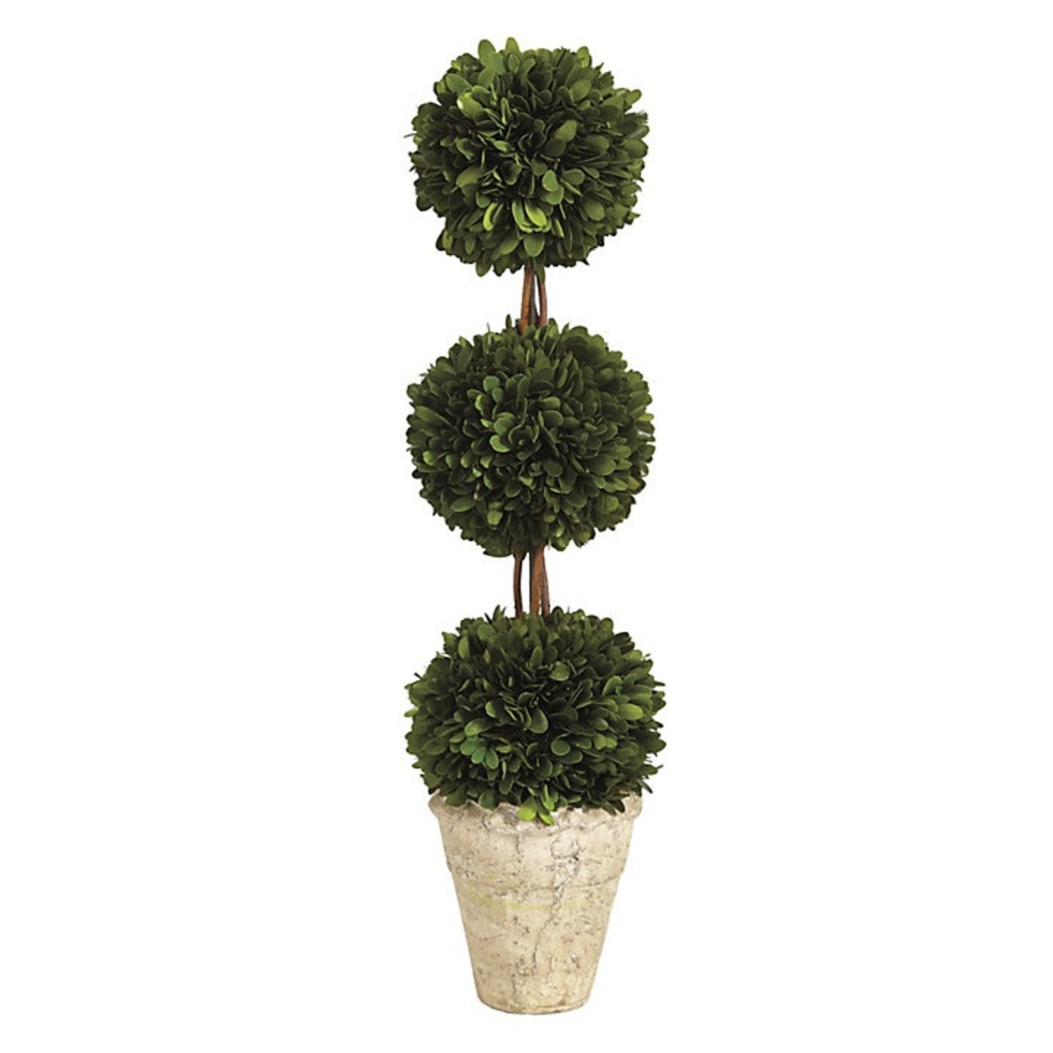 Ballard Designs Large Boxwoods - image-4