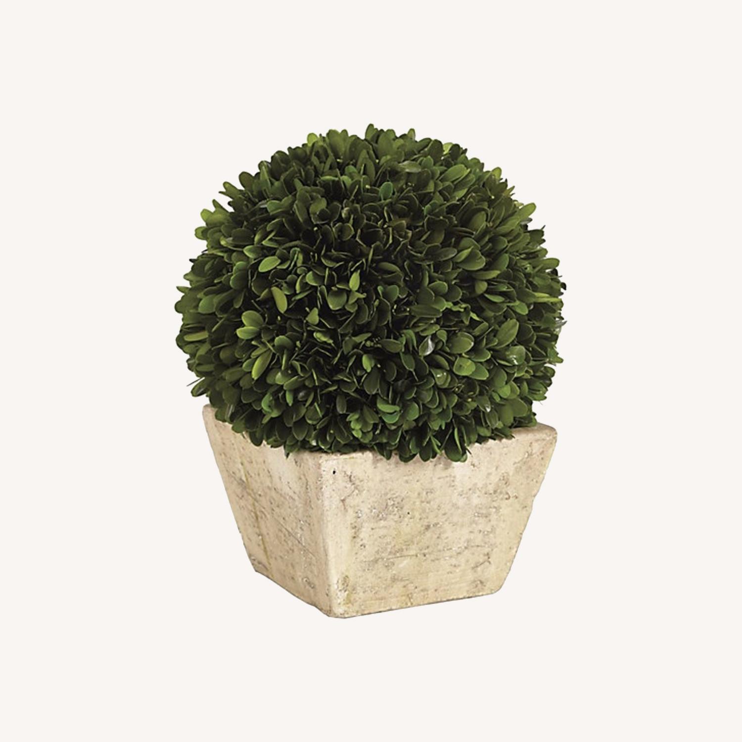 Ballard Designs Preserved Boxwood Topiary - image-0